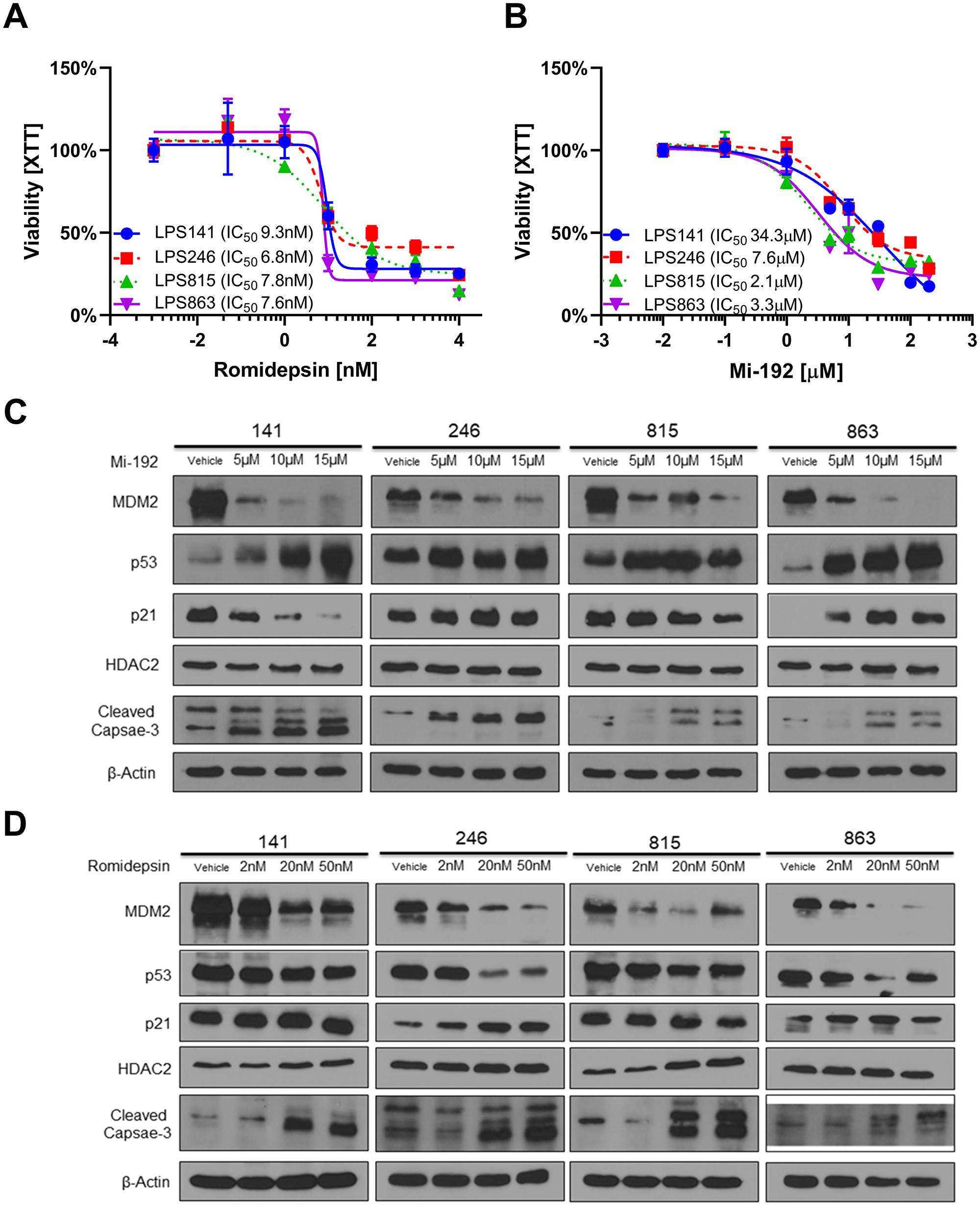 HDAC2 inhibitors reduce MDM2 expression in in vitro models of DDLPS
