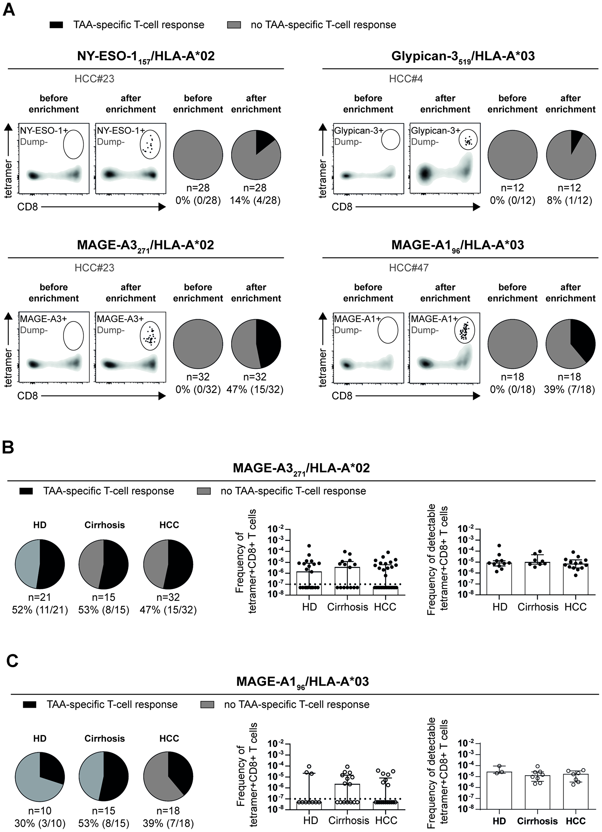 Different detection rates and frequencies of circulating TAA-specific CD8+ T cells