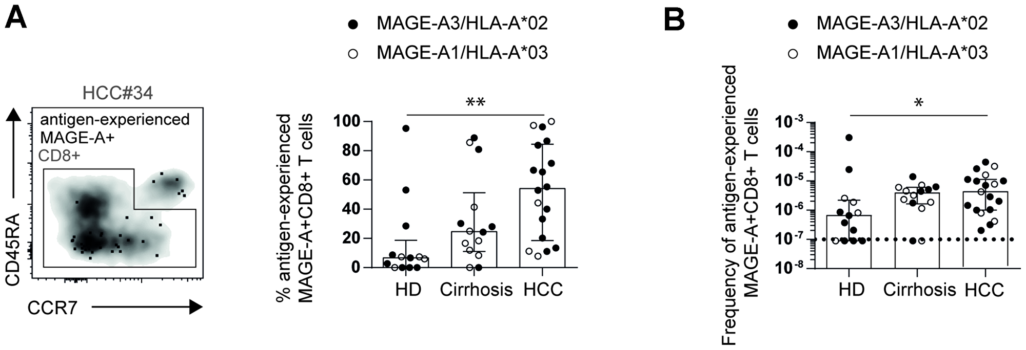 Increased frequencies of circulating antigen-experienced MAGE-A-specific CD8+ T cells in HCC patients