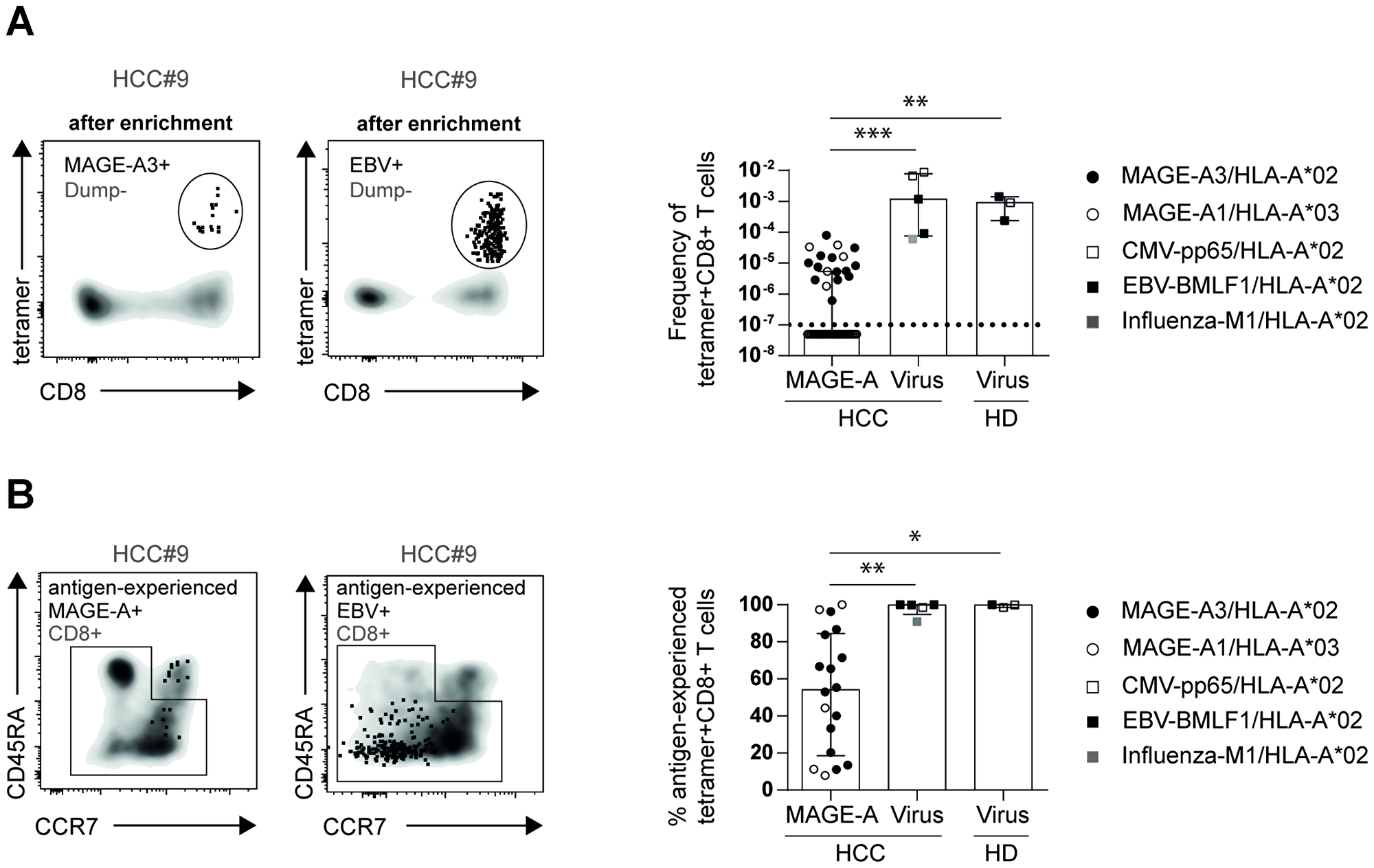 Frequencies of circulating antigen-experienced virus-specific CD8+ T cells are comparable in healthy donors and HCC patients
