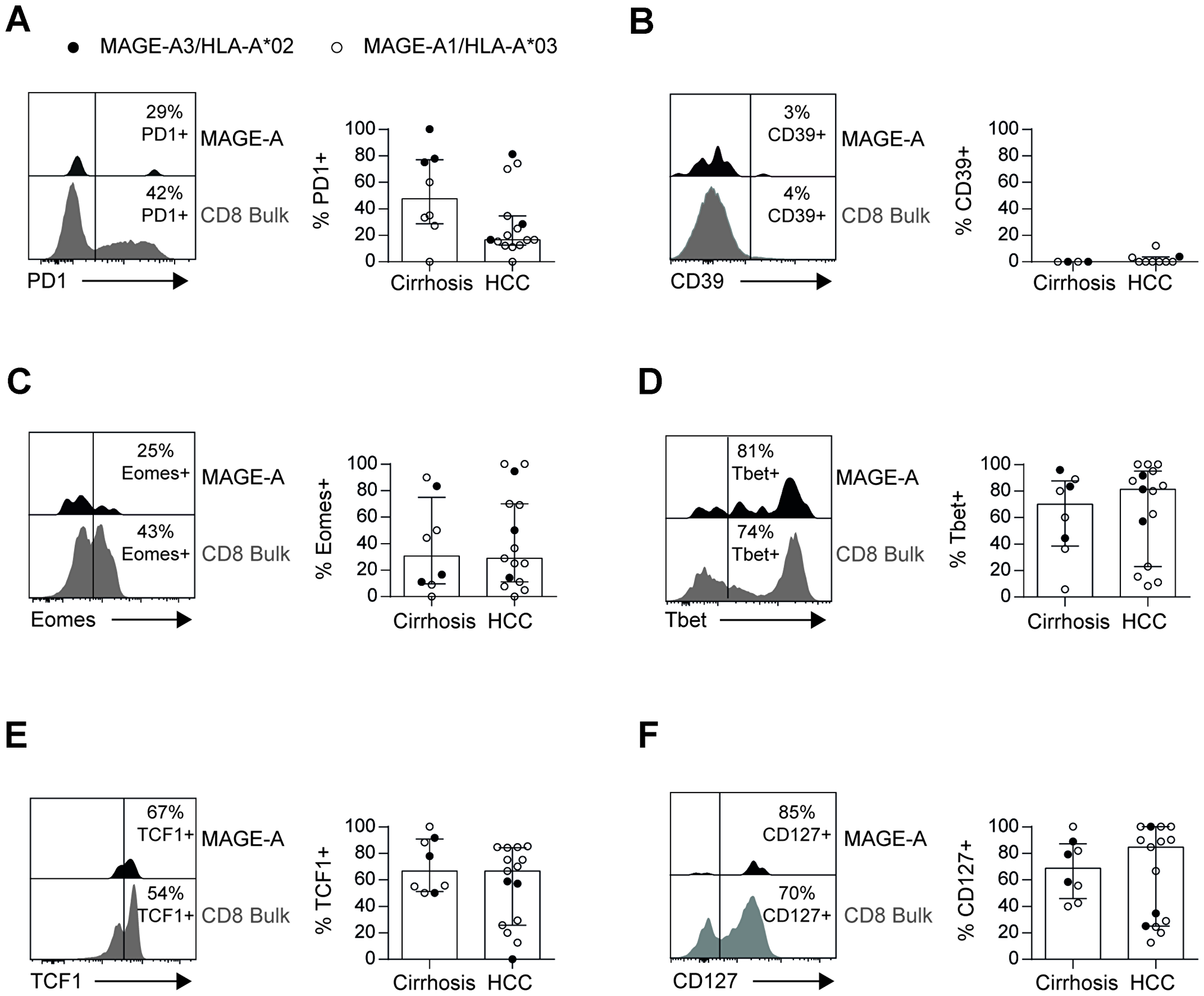 Circulating TAA-specific CD8+ T cells are not exhausted in HCC patients
