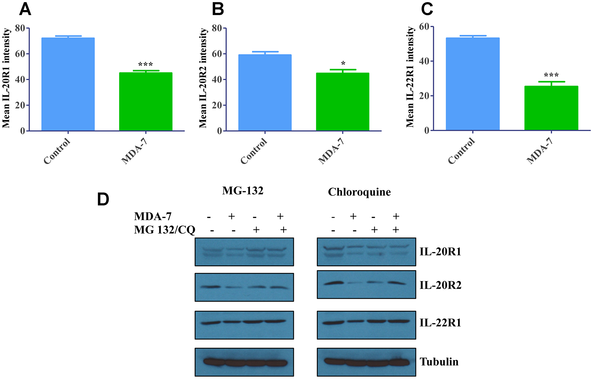 Degradation of Receptors upon internalization