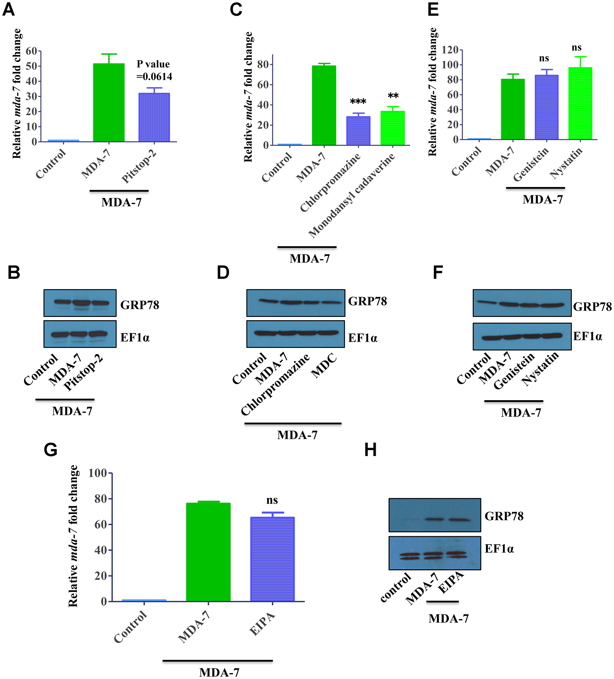 MDA-7/IL-24 uses the clathrin-mediated endocytic (CME) pathway