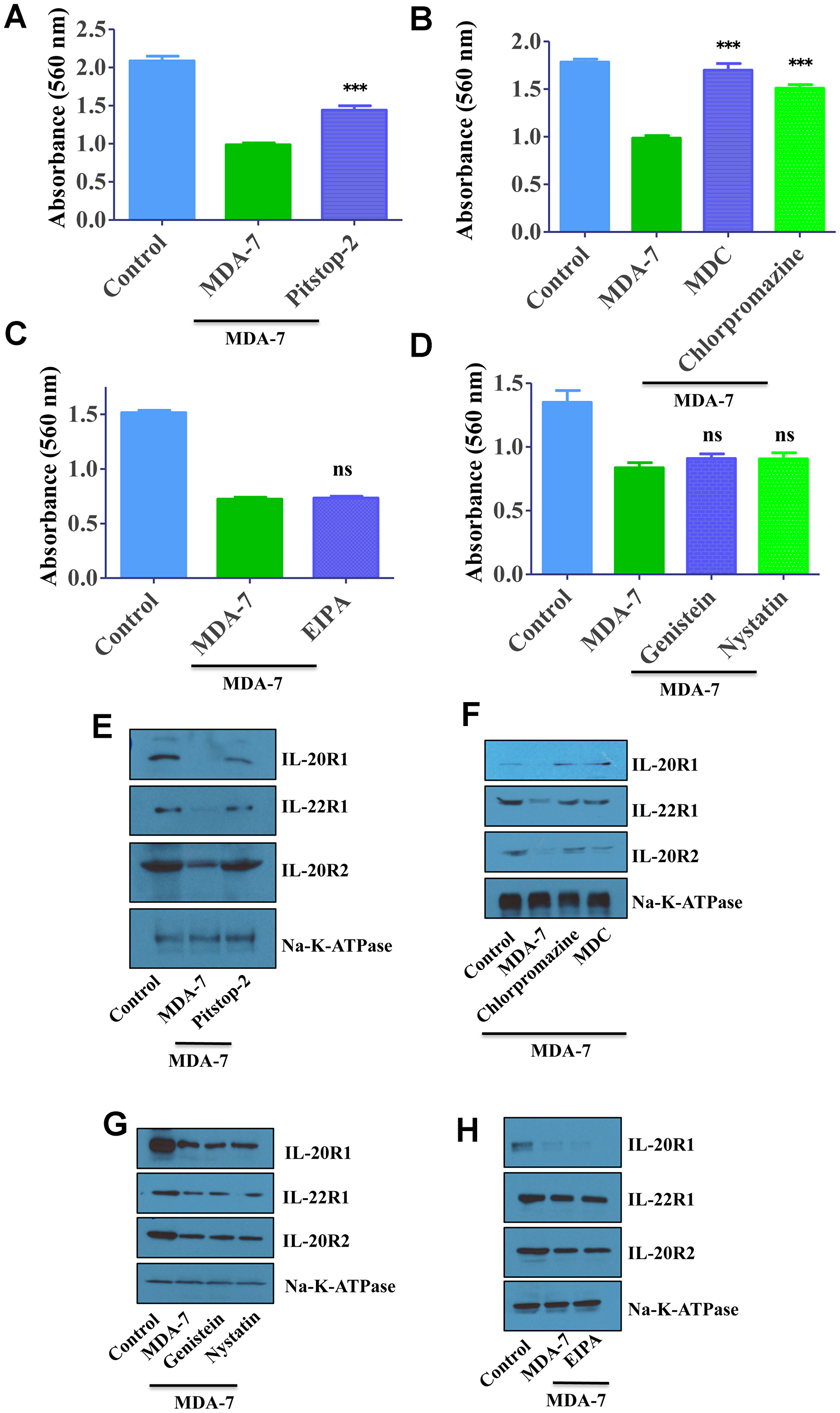 MDA-7/IL-24 uses the clathrin-mediated endocytic (CME) pathway
