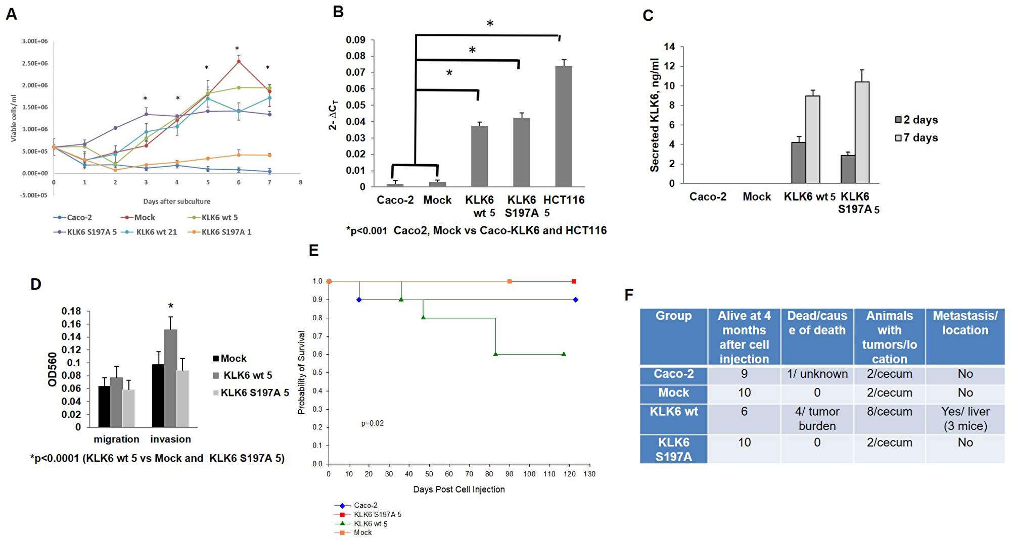 Characterization of Caco-KLK6 cell model