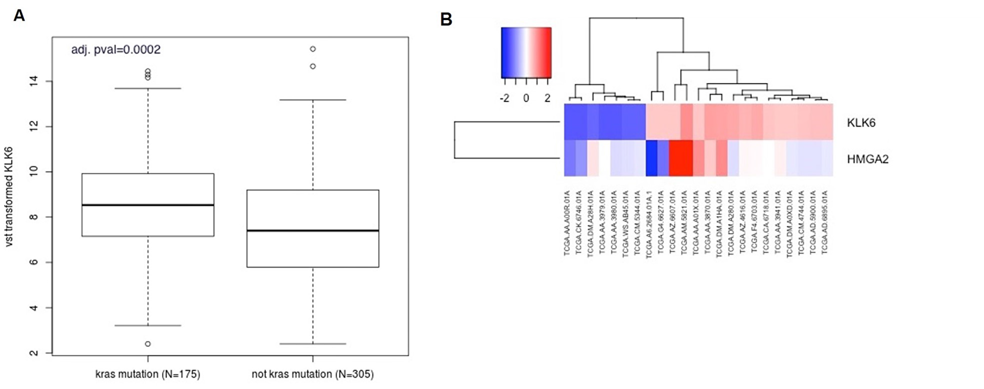 Bioinformatic analysis of KLK6 and HMGA2 expression in the CRC patients