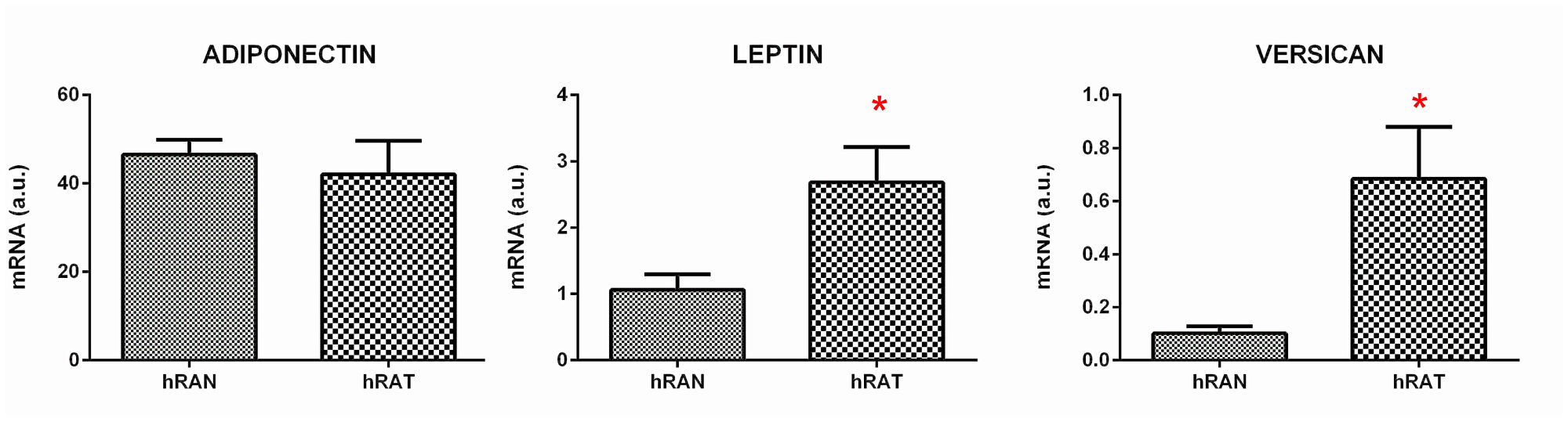Relative fold expression of versican, adiponectin and leptin gene expression from hRAN and hRAT