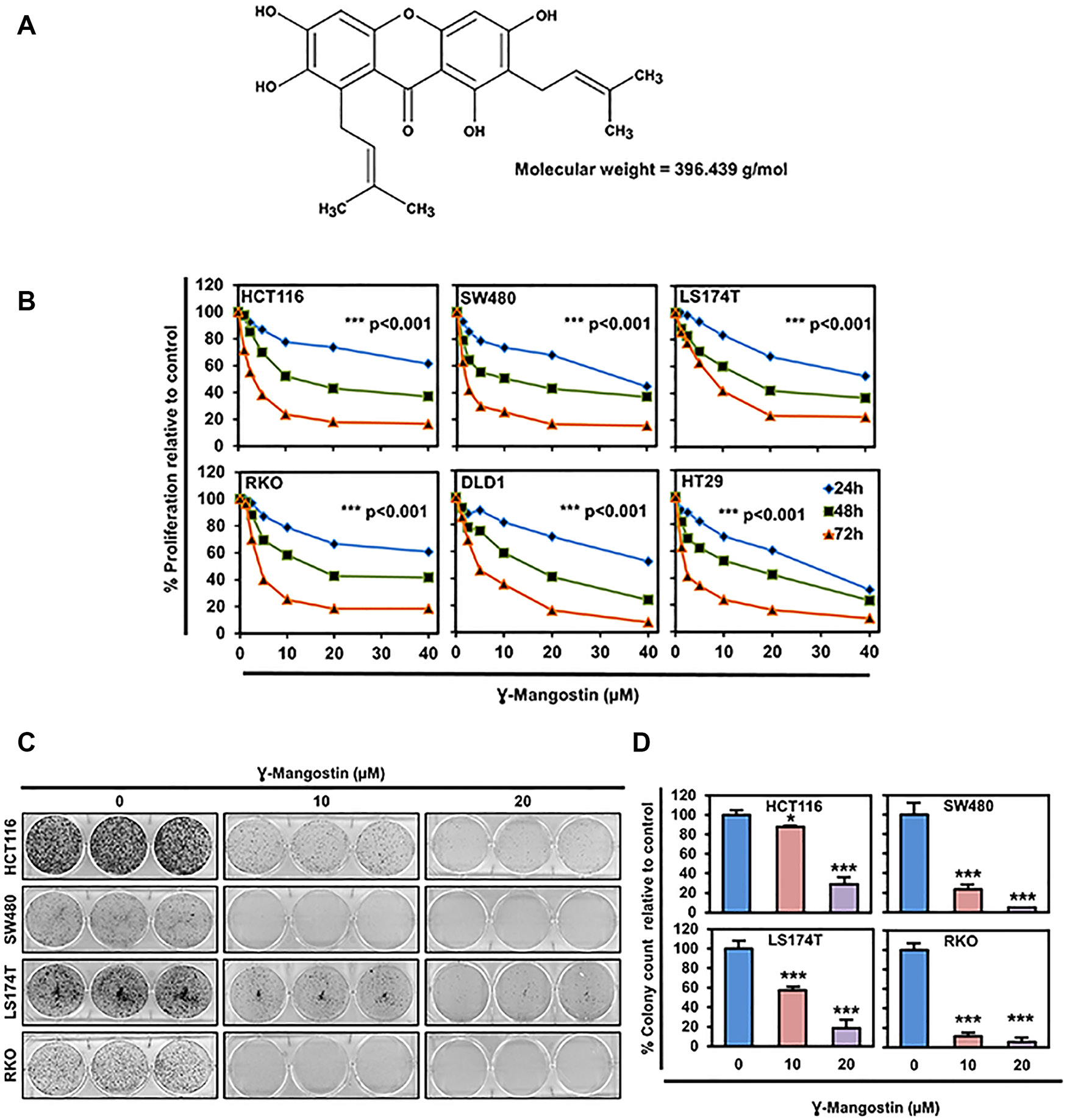 γ-Mangostin inhibits colon cancer cell proliferation