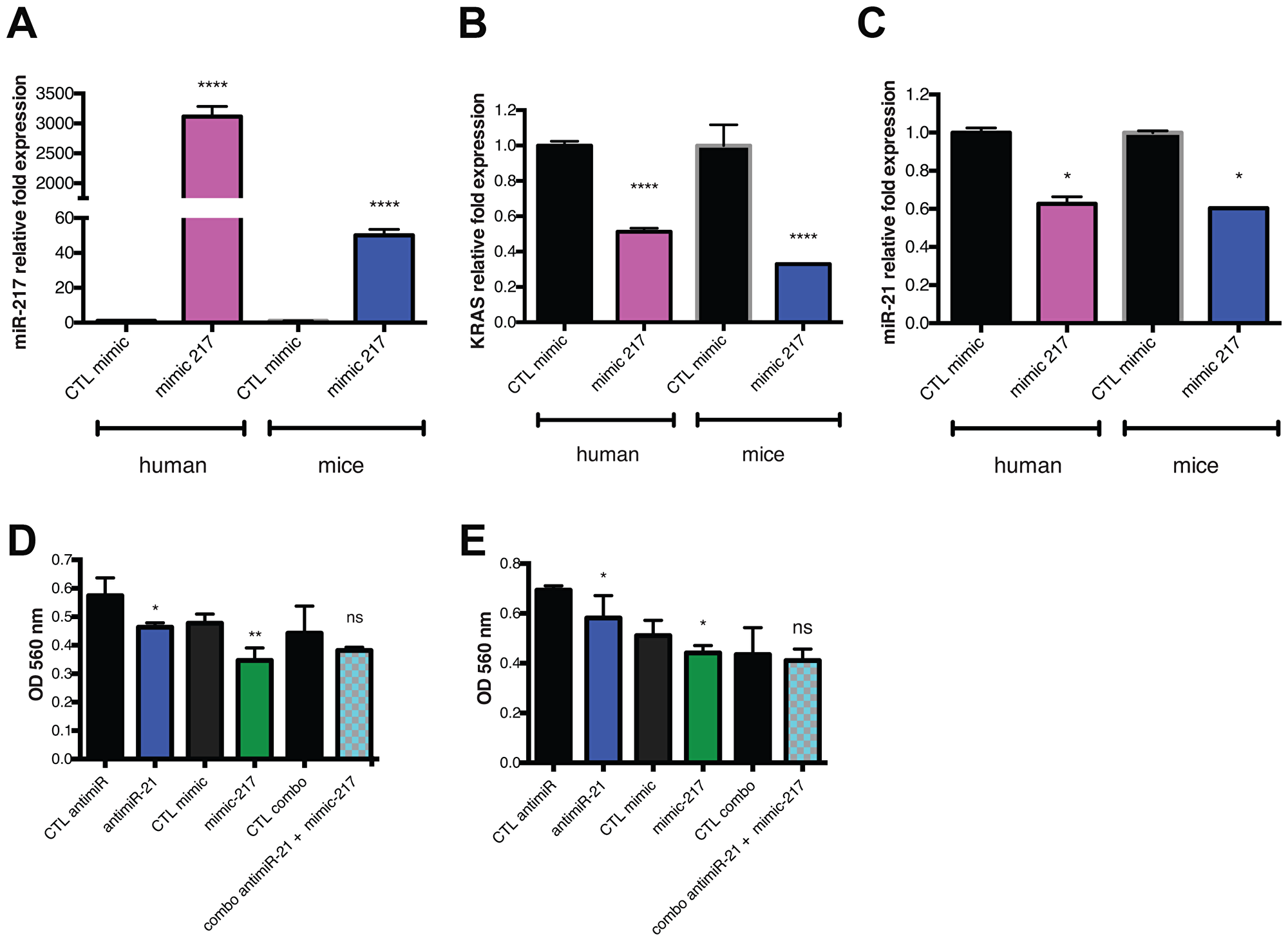 Reintroduction of miR-217 act as a tumor suppressor targeting KRAS in PDAC