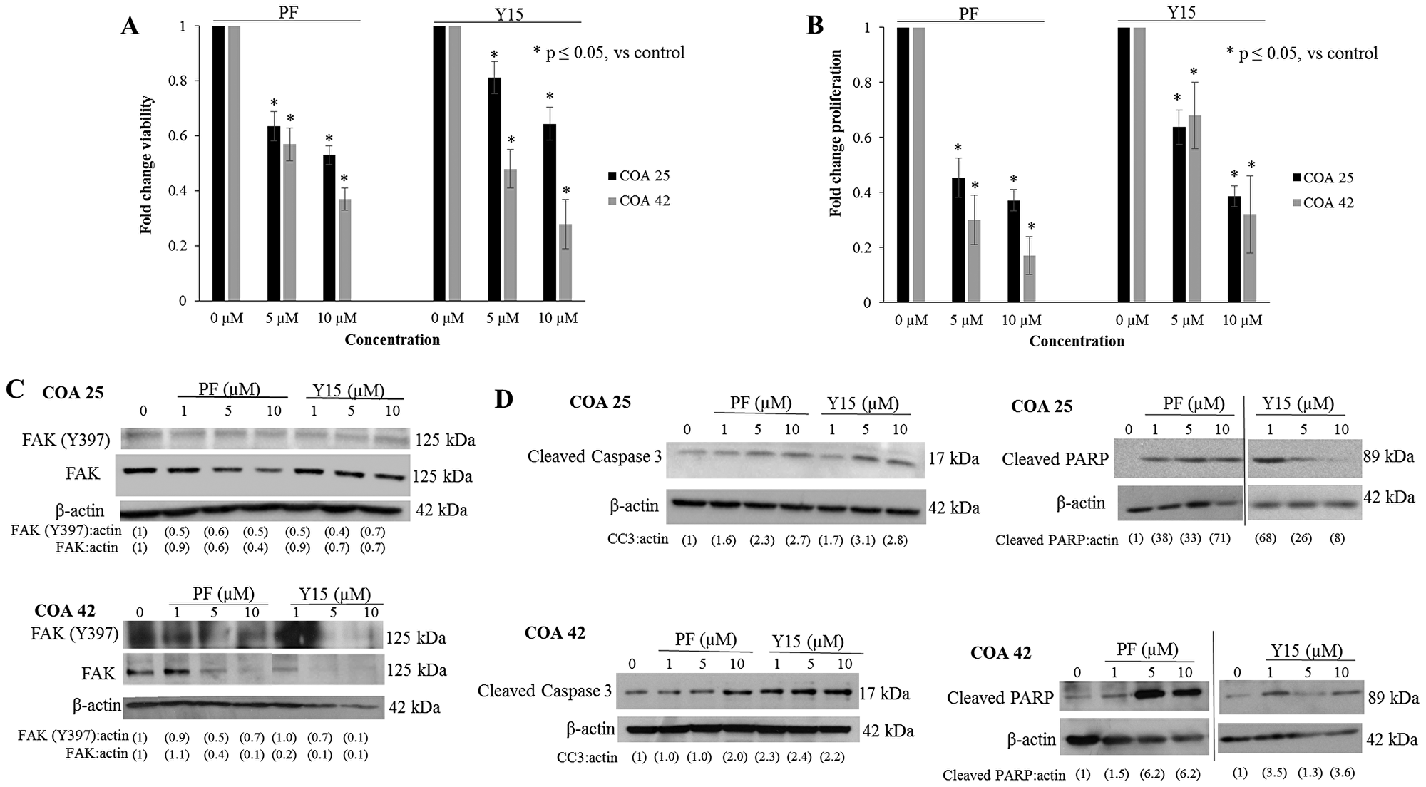 PF-573,228 (PF) and 1,2,4,5-benzenetetraamine tetrahydrochloride (Y15) inhibition of FAK decreased cell survival and proliferation and increased apoptosis