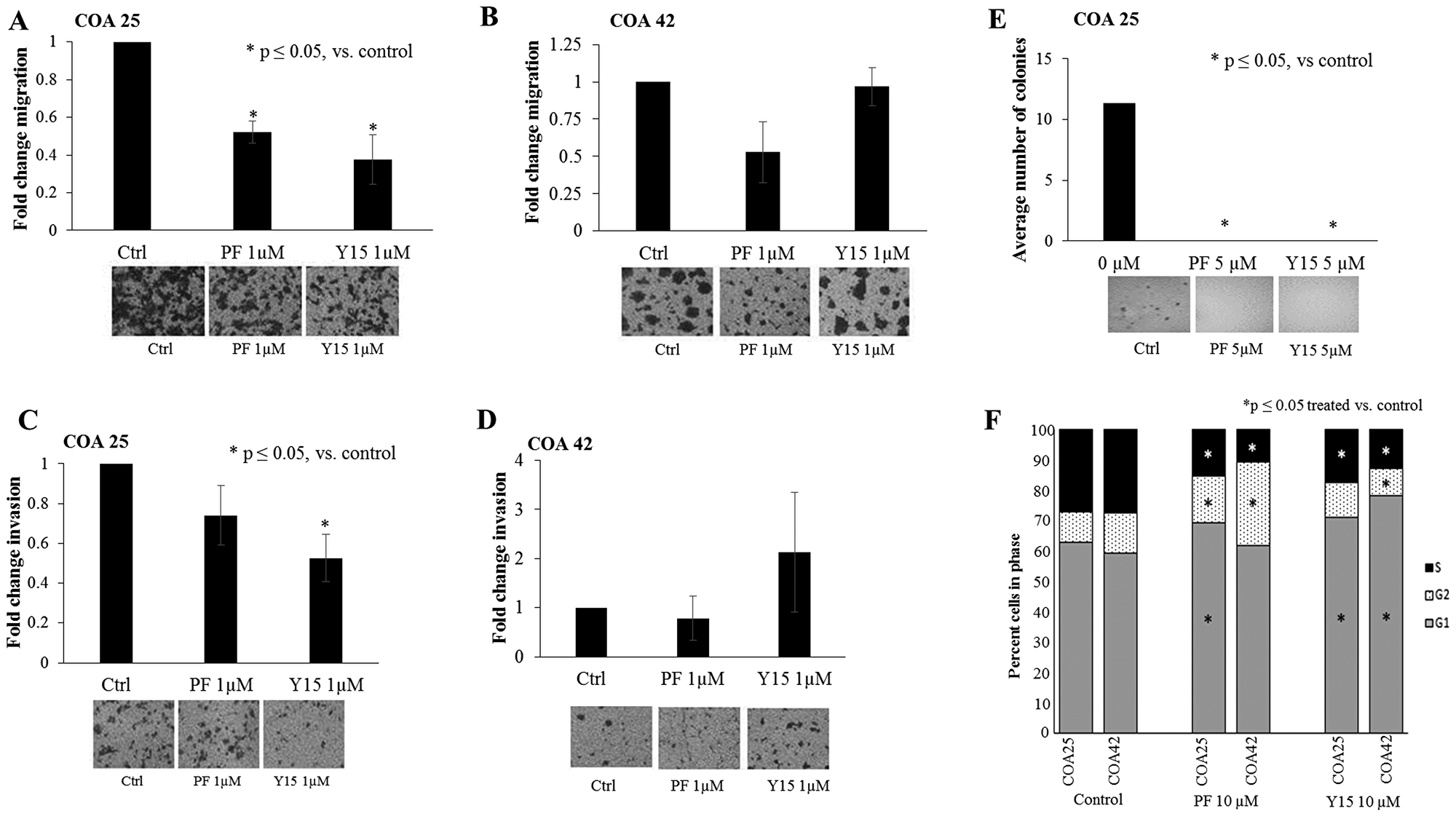 PF-573,228 (PF) and 1,2,4,5-benzenetetraamine tetrahydrochloride (Y15) inhibition of FAK decreased cell migration, invasion, and attachment-independent growth in COA 25 cells