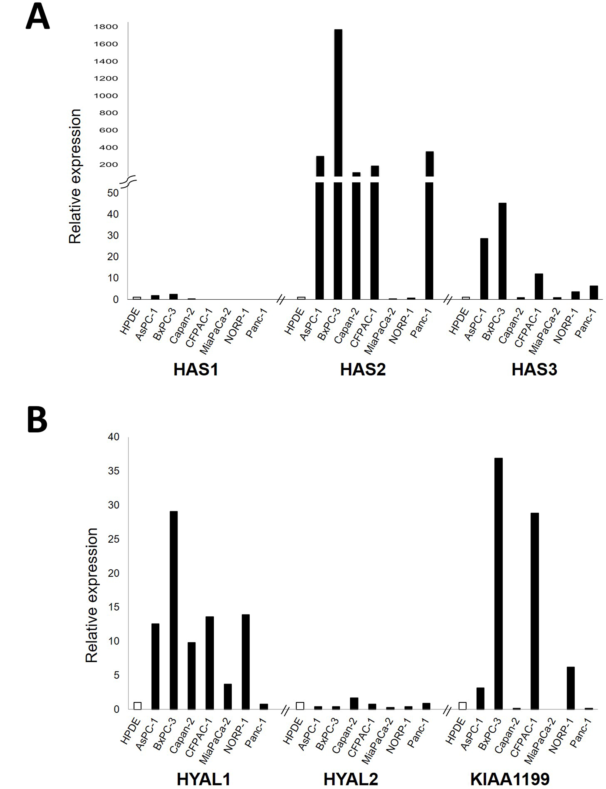 Relative mRNA expression levels of major genes responsible for HA synthesis, including HAS1, HAS2, and HAS3 (A) and those for HA degradation, including HYAL1, HYAL2, and KIAA1199 (B) in a panel of 7 PDAC cell lines. Each value was defined when the expression level in HPDE (as a control) was set to 1.