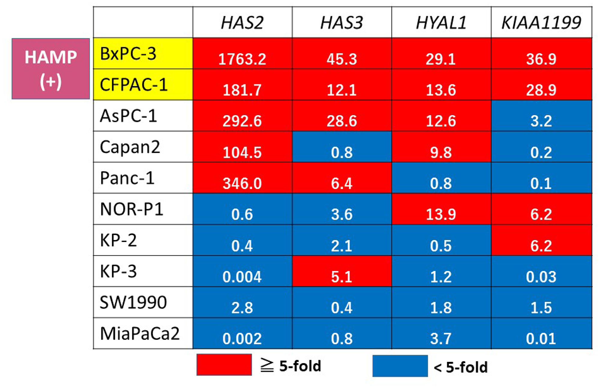 Gene expression profiling of HA metabolism genes in PDAC cell lines