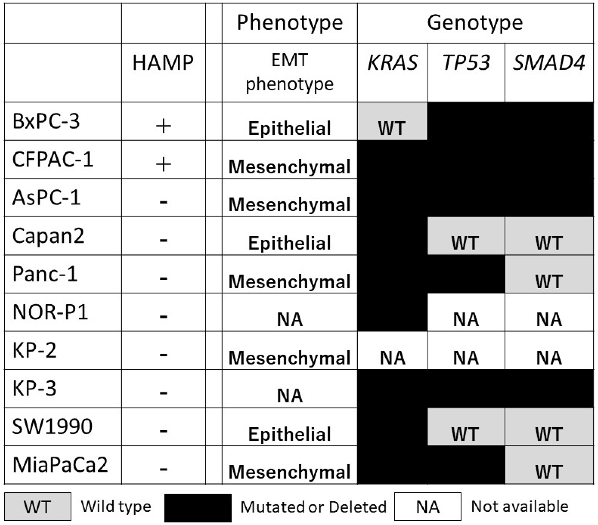 Correlation between HAMP and other known phenotype (epithelial/mesenchymal phenotype) and genotype (genetic alterations in the KRAS, TP53, and SMAD4) in a panel of 10 PDAC cell lines