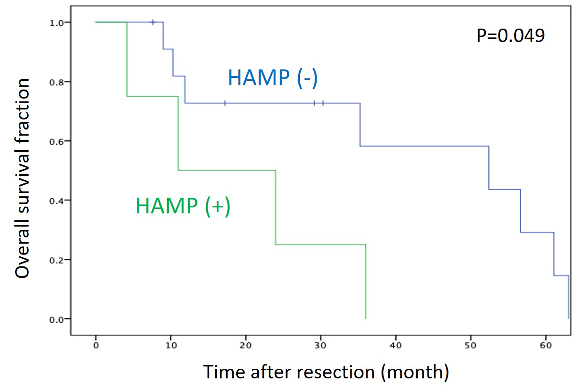 Kaplan–Meier survival curve of patients with PDAC after surgical resection