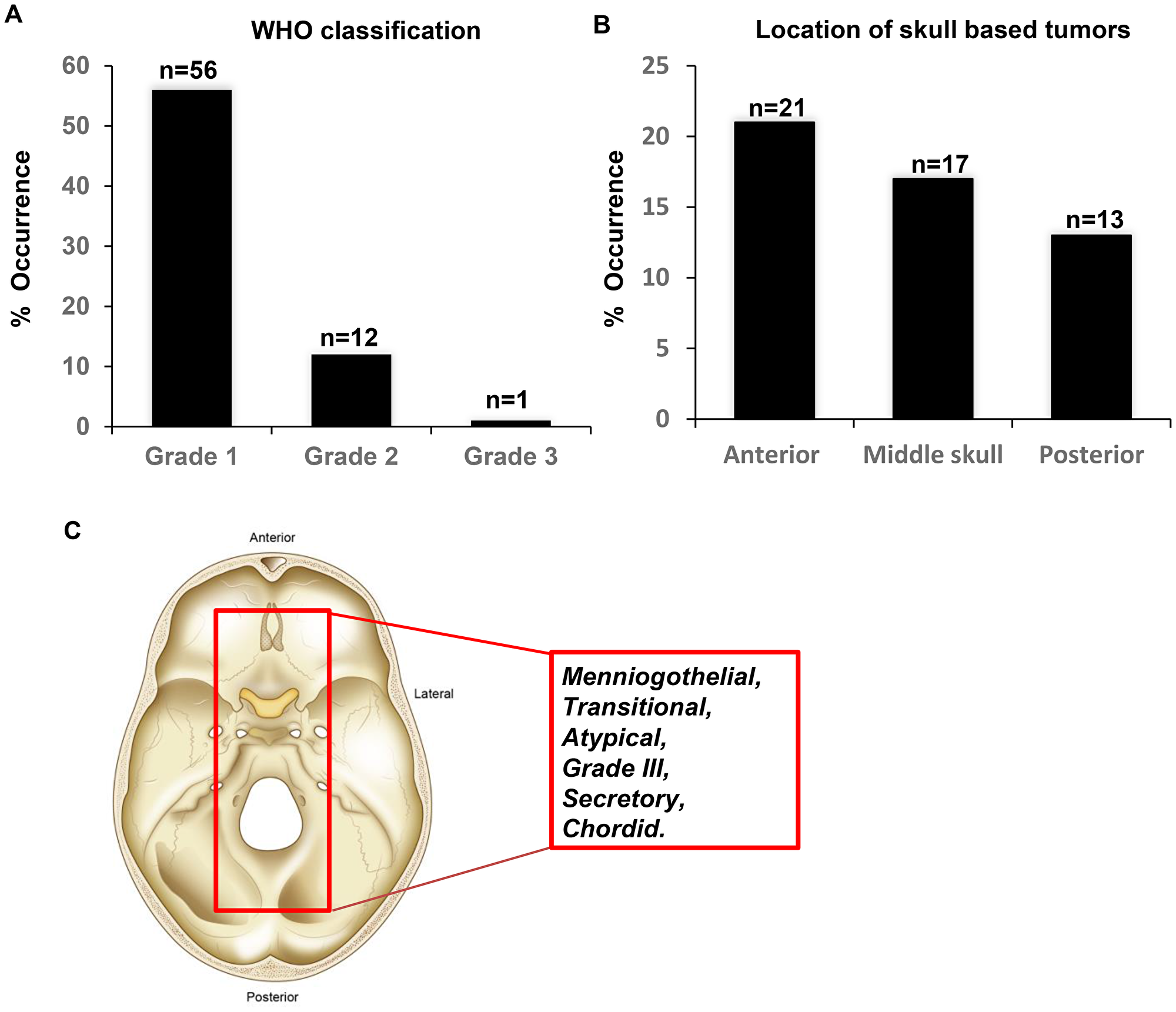 Characteristics of the meningioma’s investigated in the study