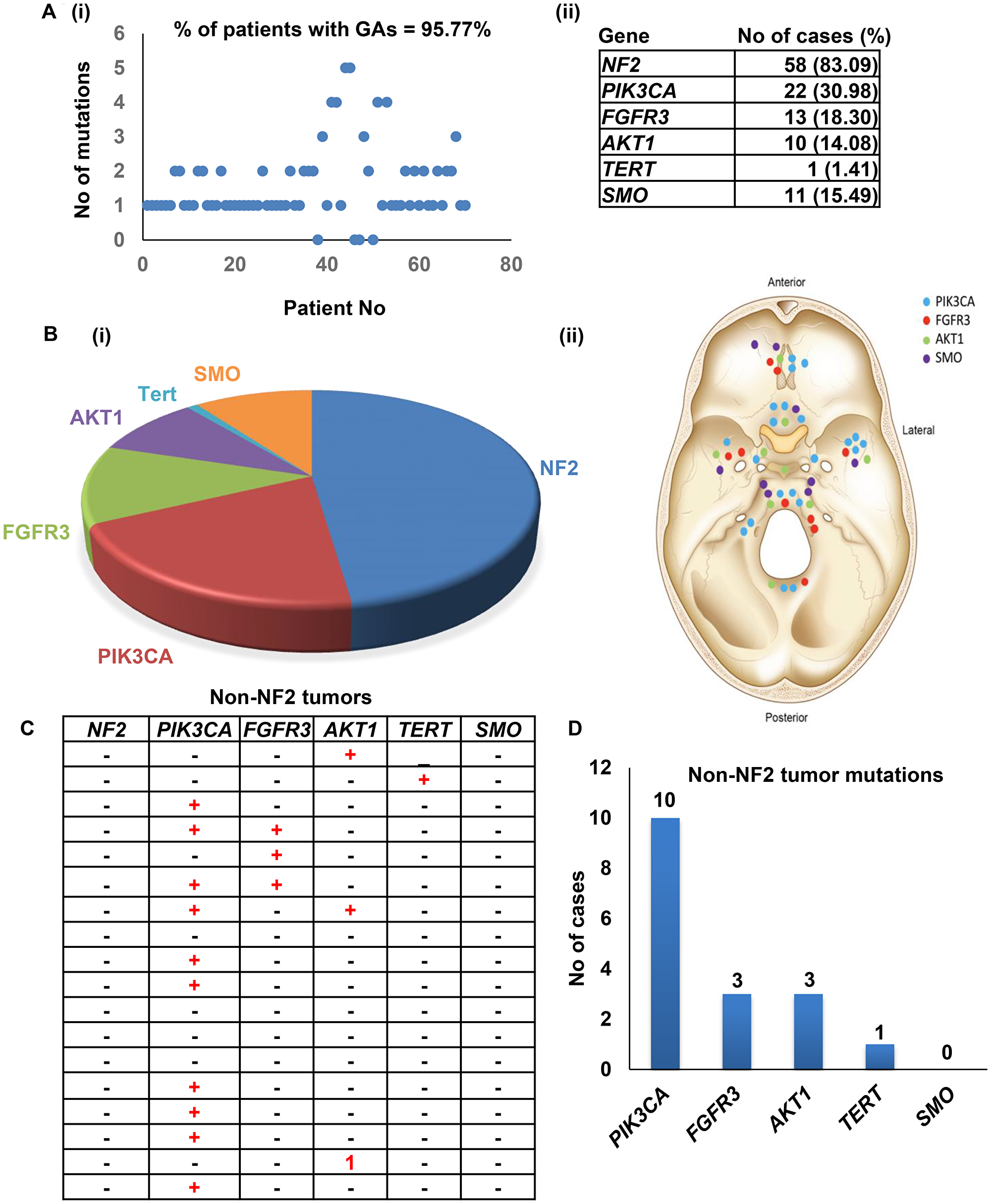 Meningioma mutations identified in the study
