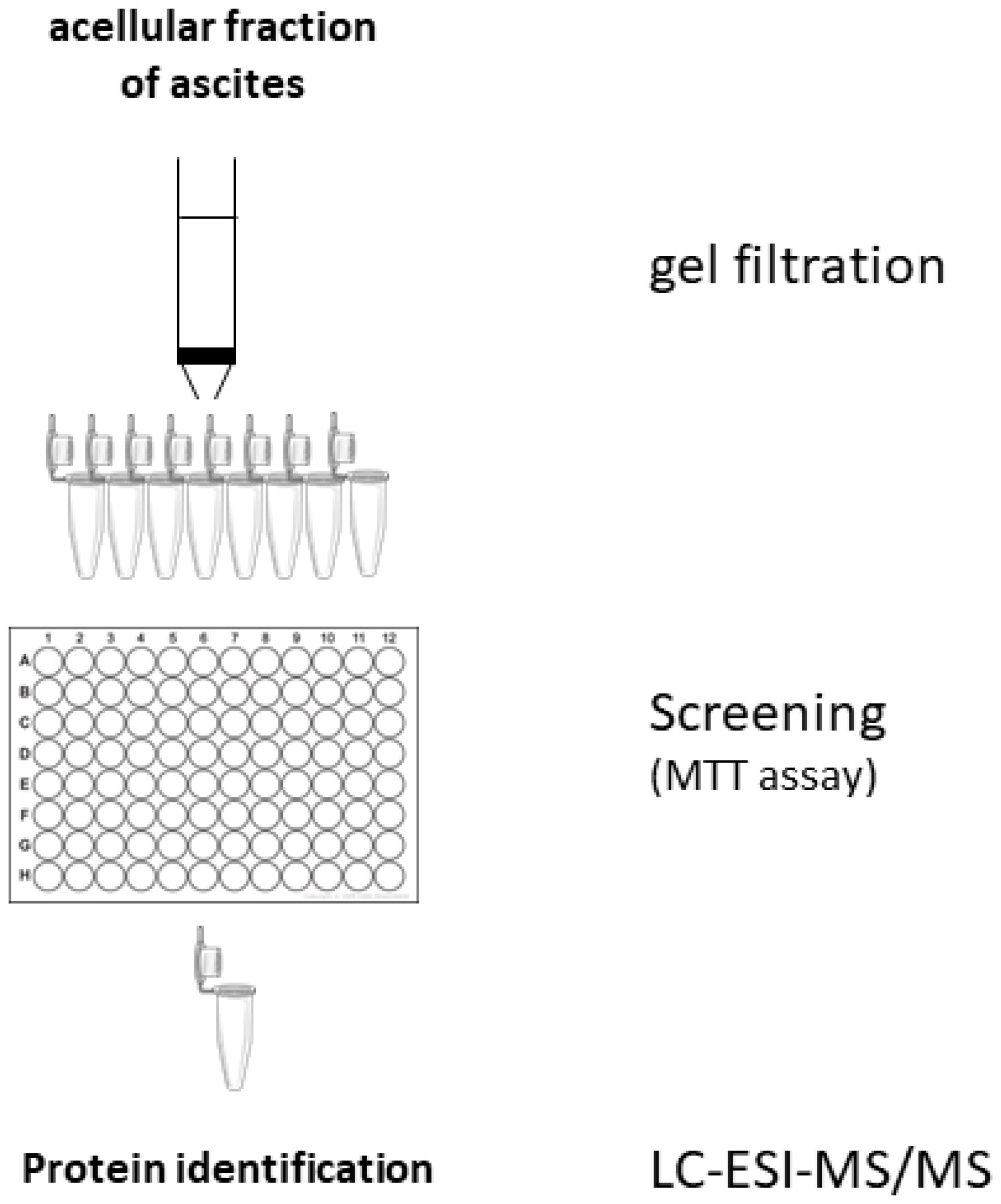 Scheme of the protocol used for identification of proteins responsible for the pro-apoptotic effects of ascites effects