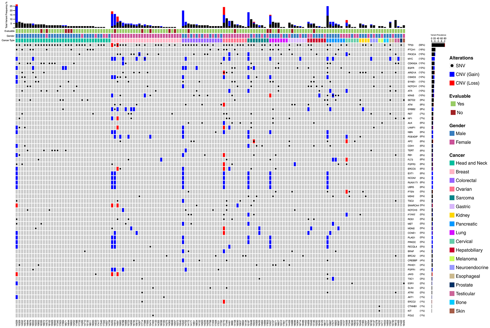 Landscape of genomic alterations in the Intent to Treat (ITT) population