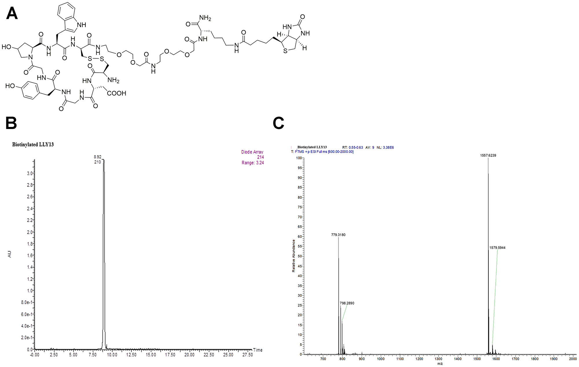 Structure and characterization of biotinylated LLY13