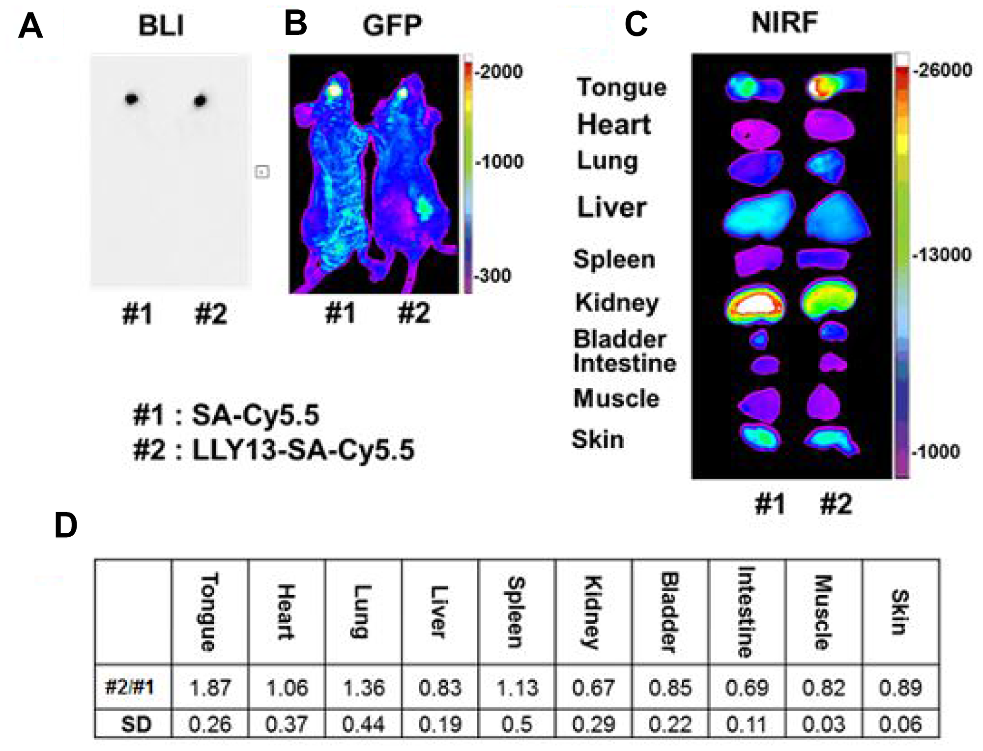 In vivo and ex vivo bioluminescence (BLI) and optical NIRF imaging