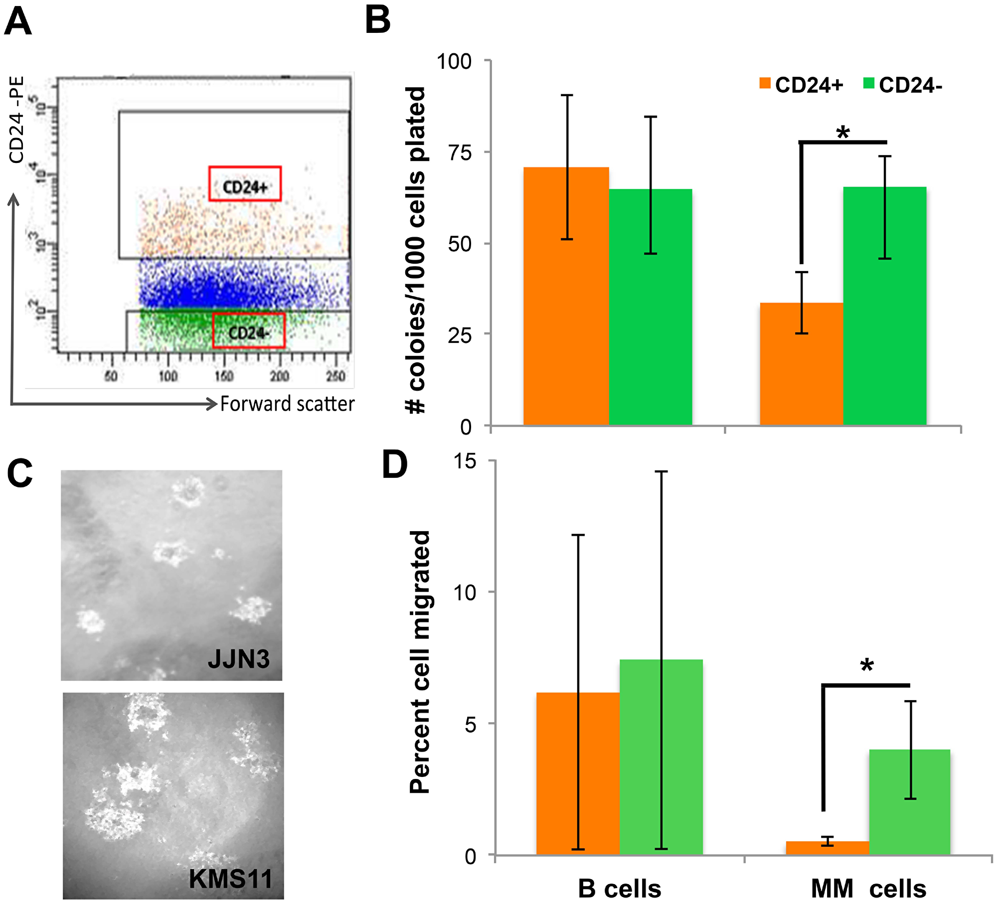 CD24 up-regulation on MM cells decreases tumorigenicity