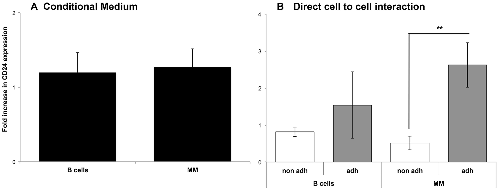 Direct interaction with the BMSC is necessary for CD24 up-regulation in MM and B cells