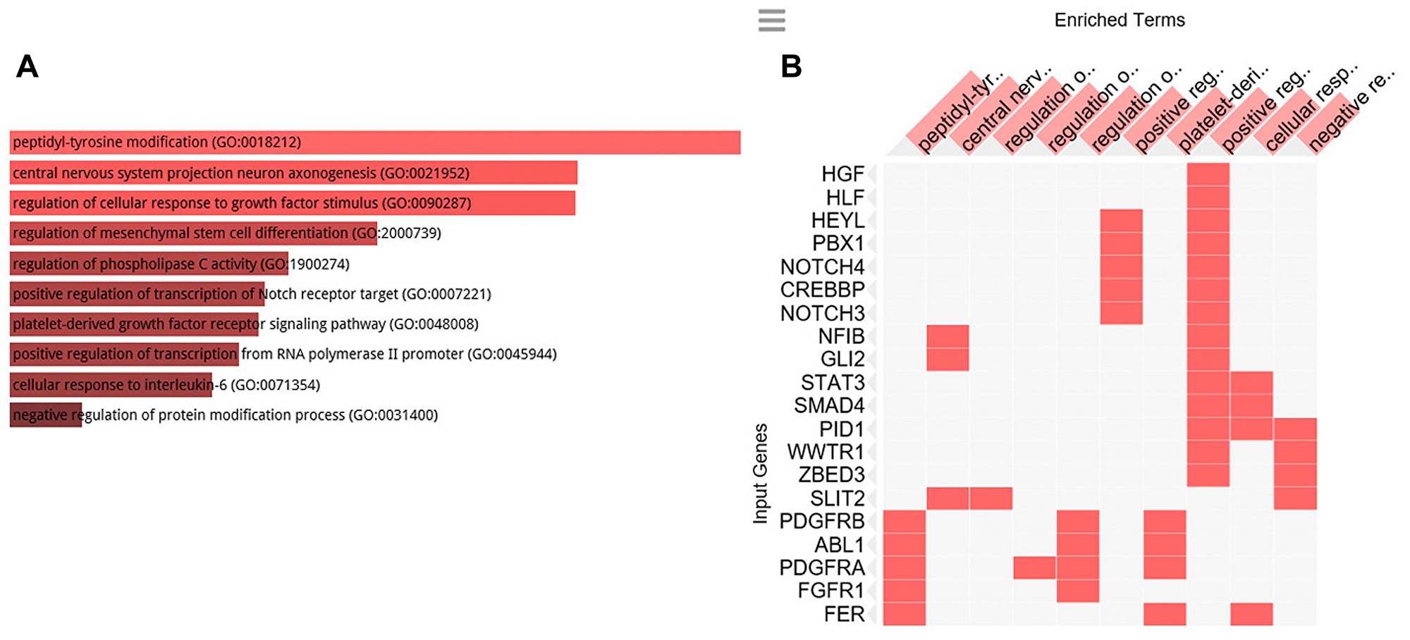 GO Biological processes analysis