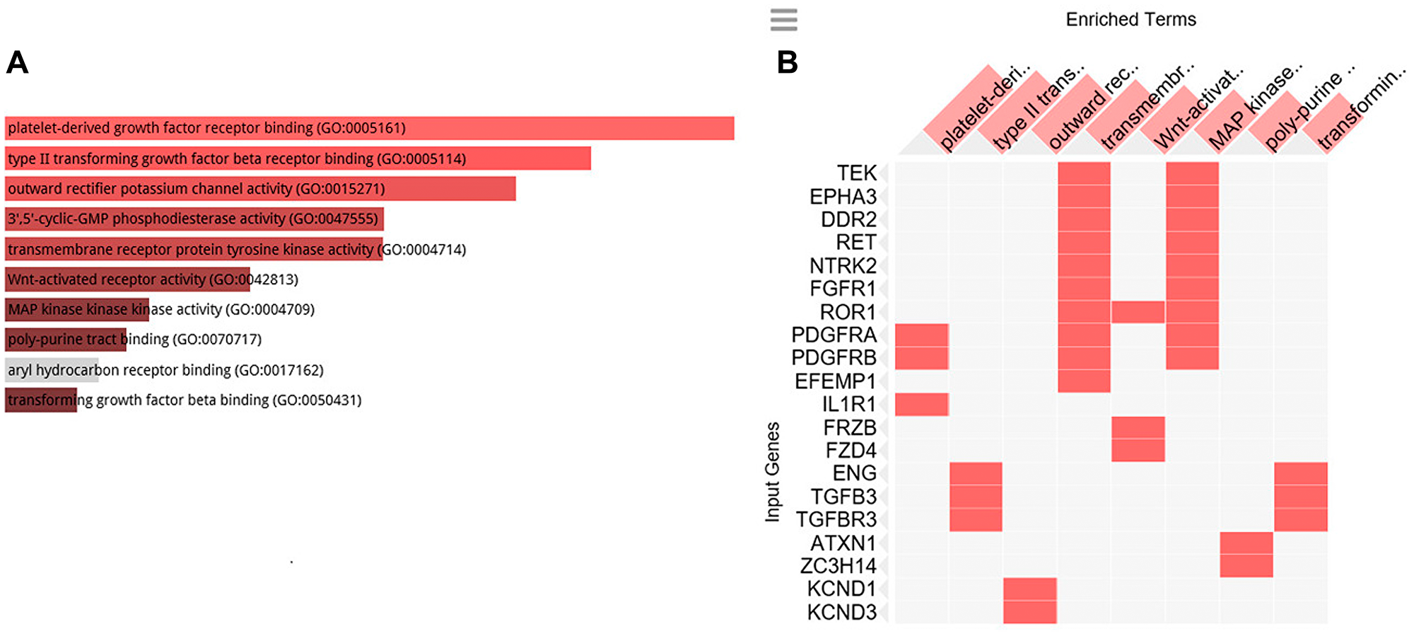 GO cellular function analysis