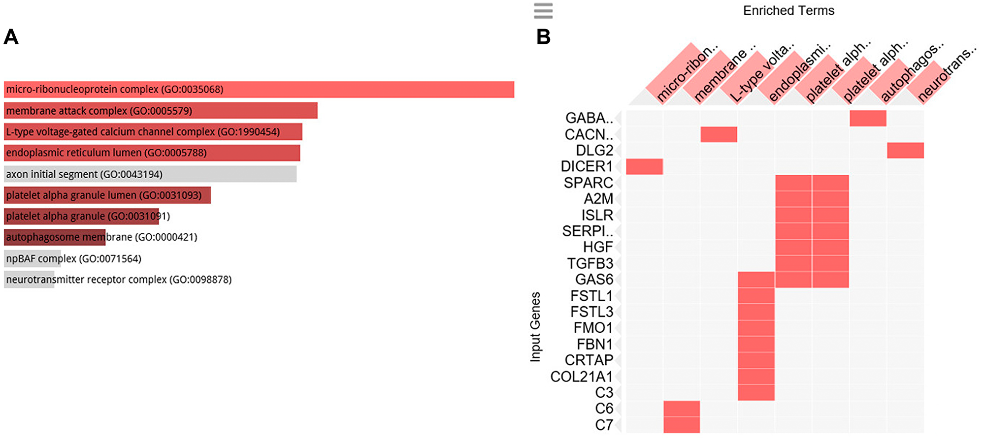 GO cellular component analysis