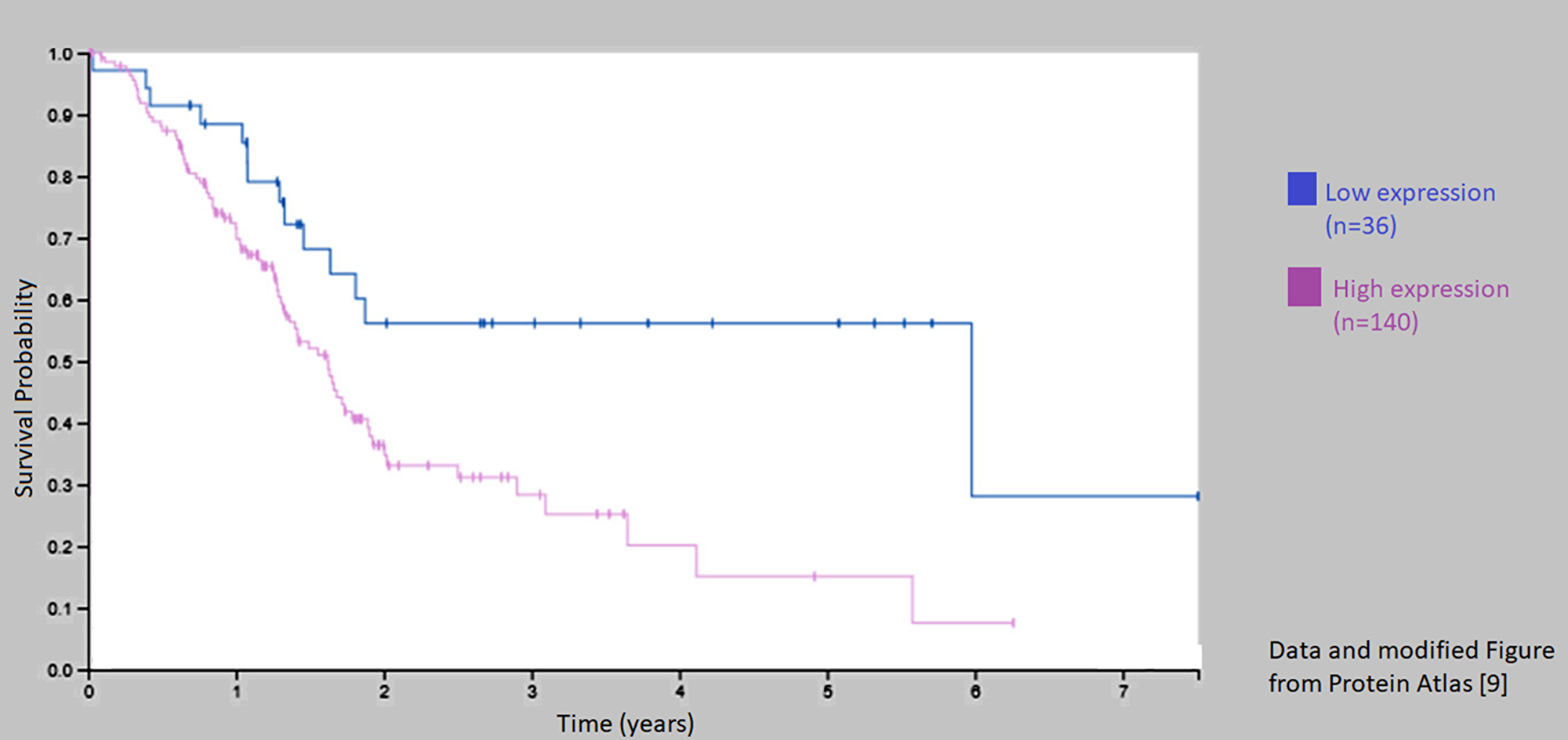Kaplan–Meier curve for patients with low and high expression of C1-INH (Sering 1)