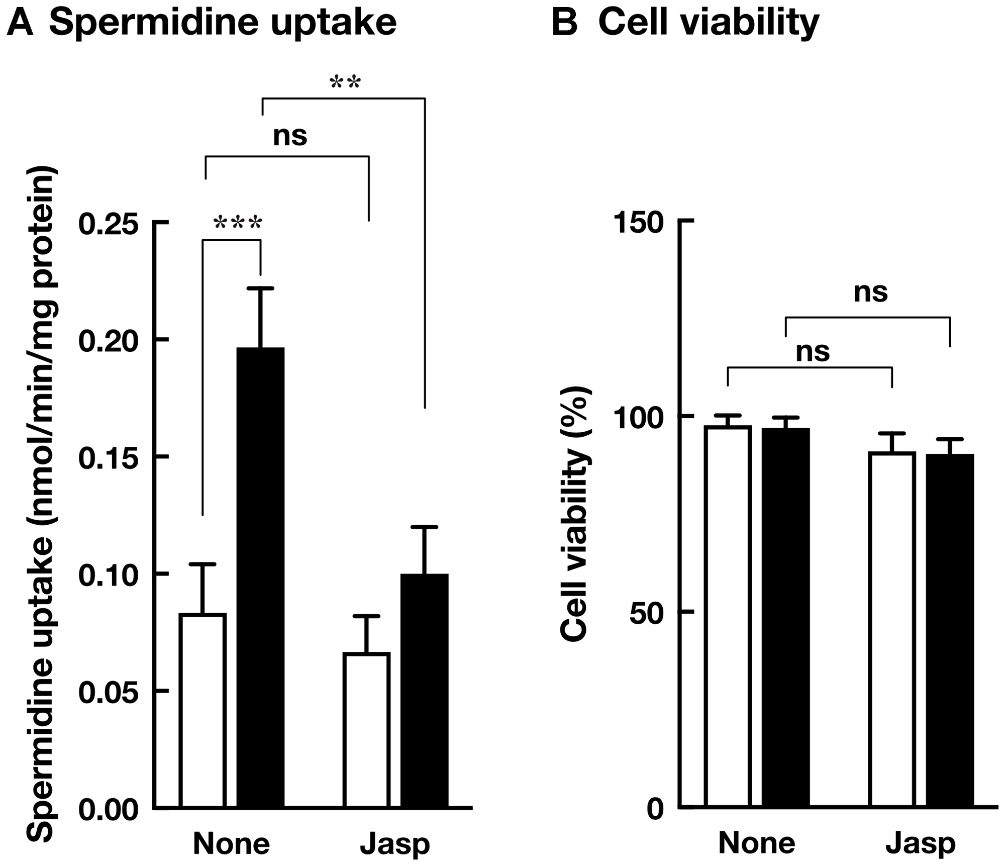 Effect of jasplakinolide on polyamine transport