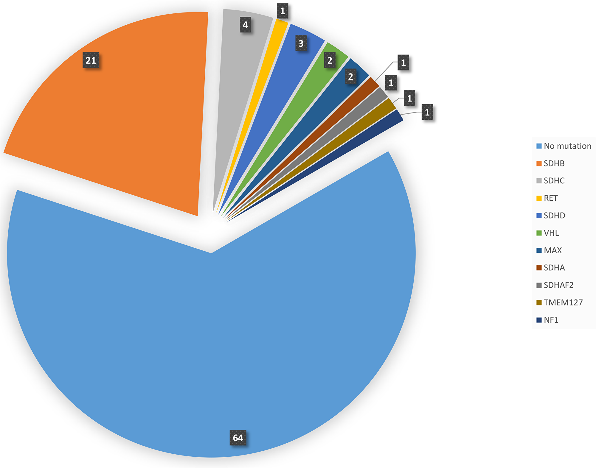Pie diagram showing the distribution and number of cases with germline mutations in different gene