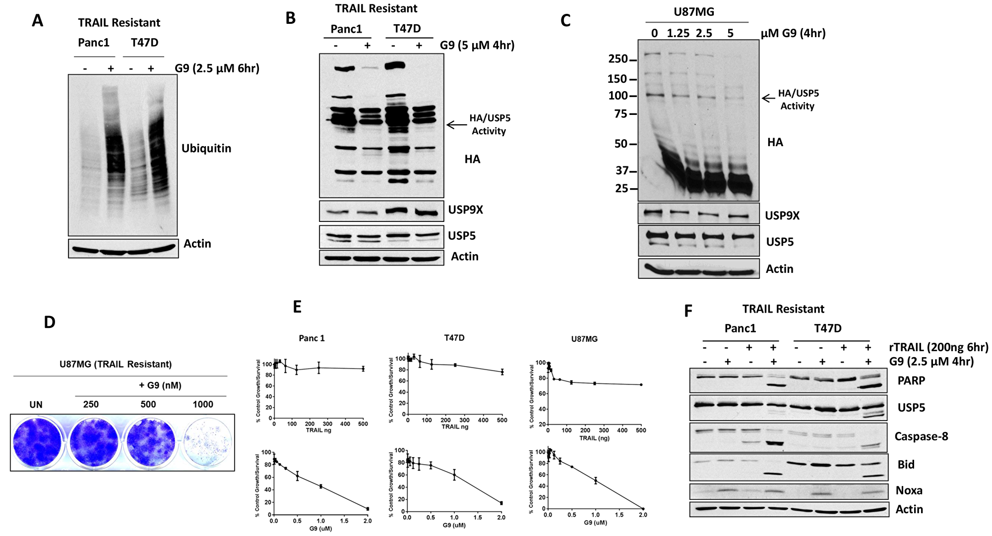 USP5 inhibition overcomes acquired resistance to TRAIL