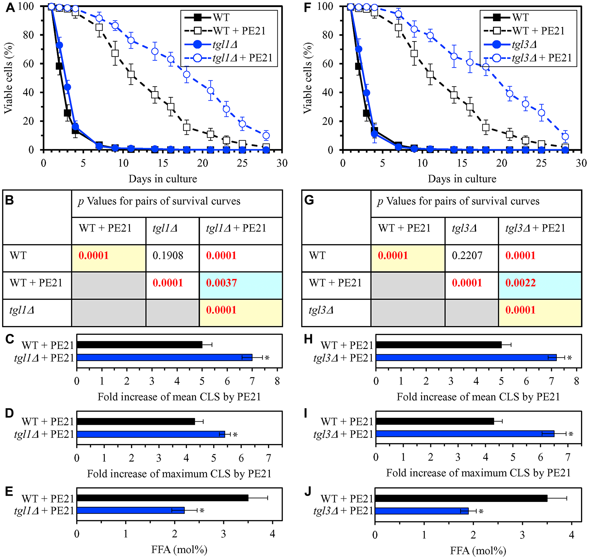 The tgl1Δ and tgl3Δ mutations eliminate enzymes involved in the formation of FFA as products of TAG lipolysis. These mutations decrease cellular FFA concentration and increase the efficiency with which PE21 prolongs yeast CLS