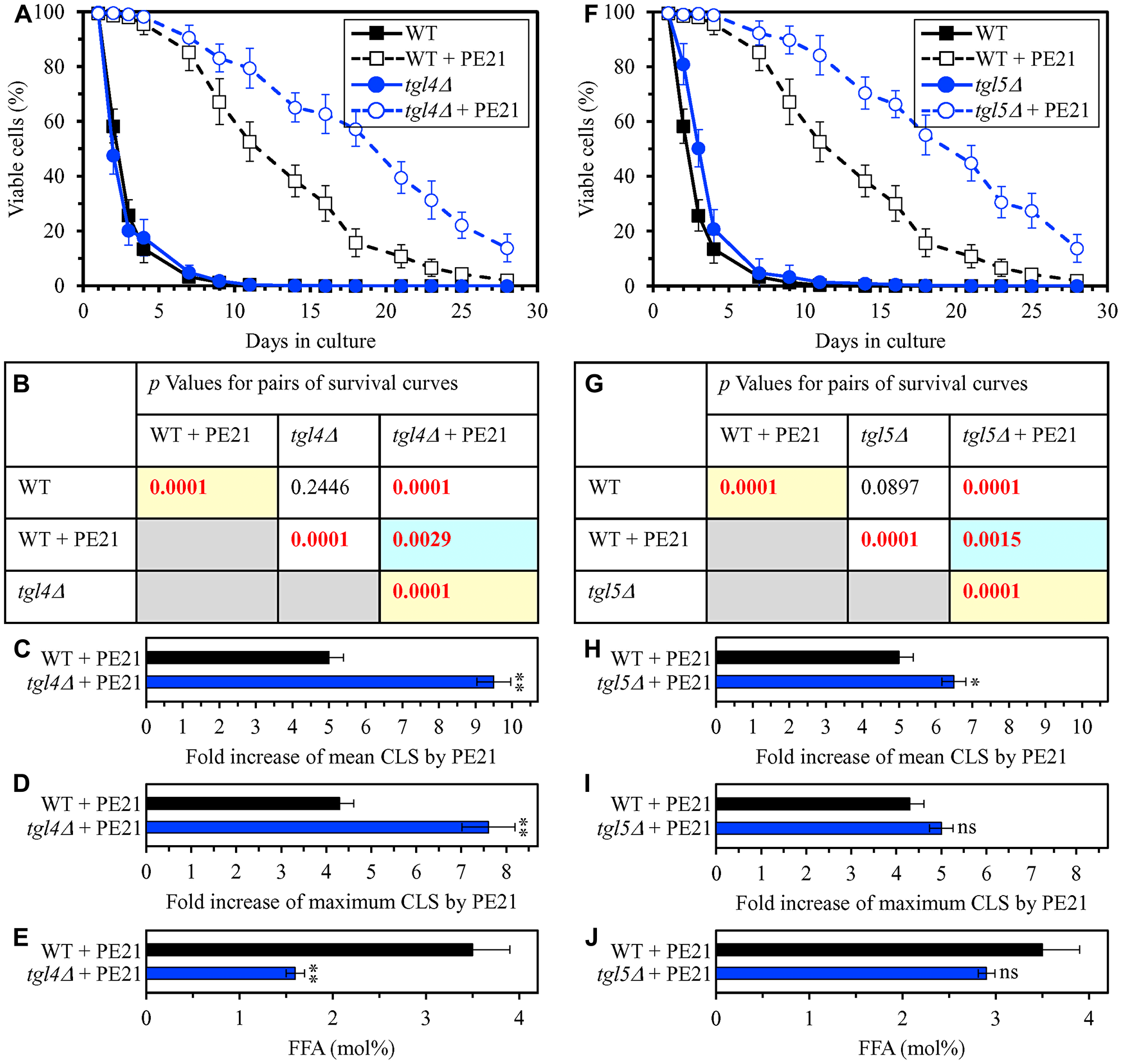 The tgl4Δ and tgl5Δ mutations eliminate enzymes that catalyze the formation of FFA as products of TAG lipolysis. These mutations cause a decline in cellular FFA concentration and elicit a rise in the efficiency of yeast CLS extension by PE21