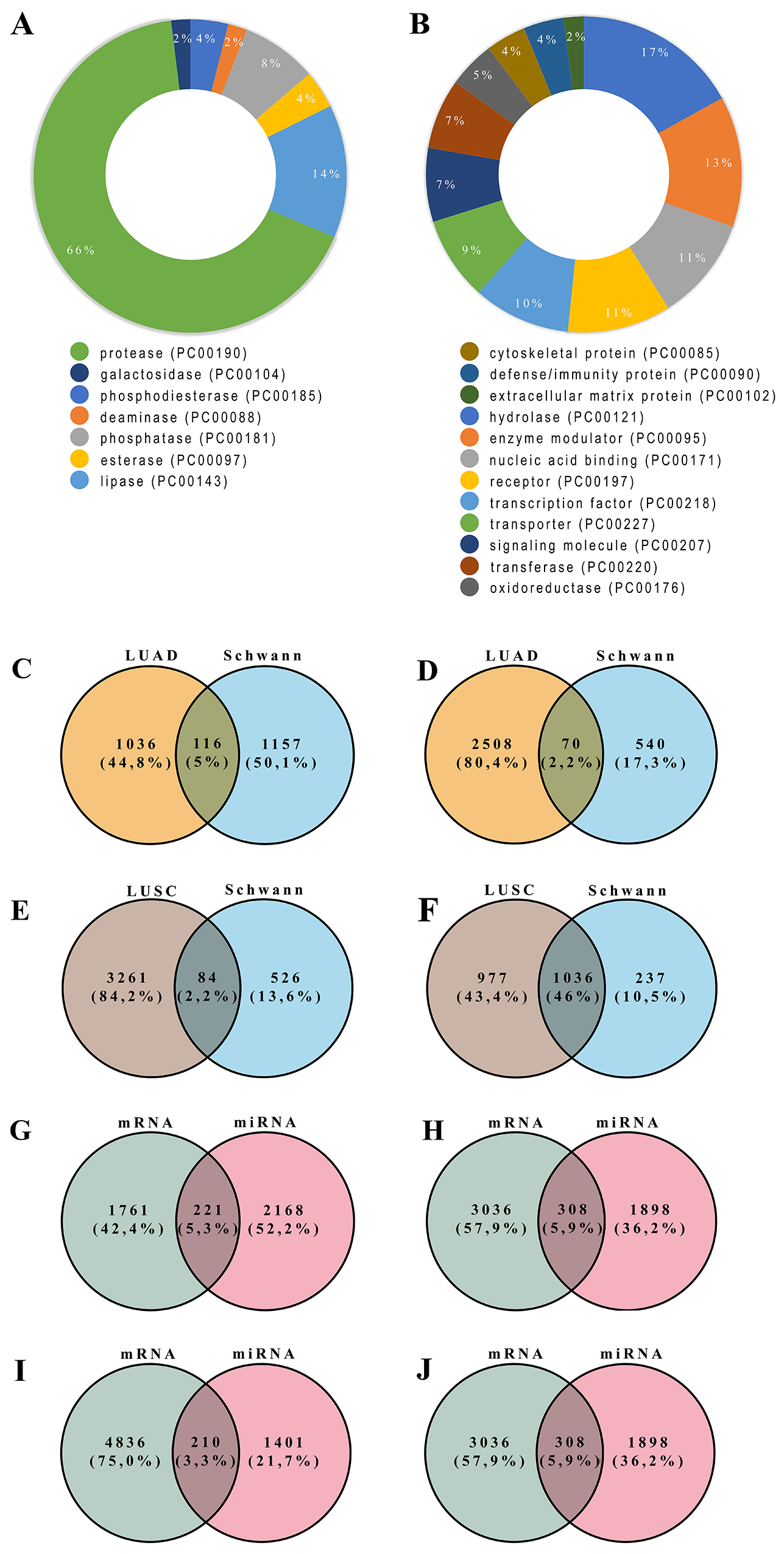 Molecular function and protein class terms of downregulated
