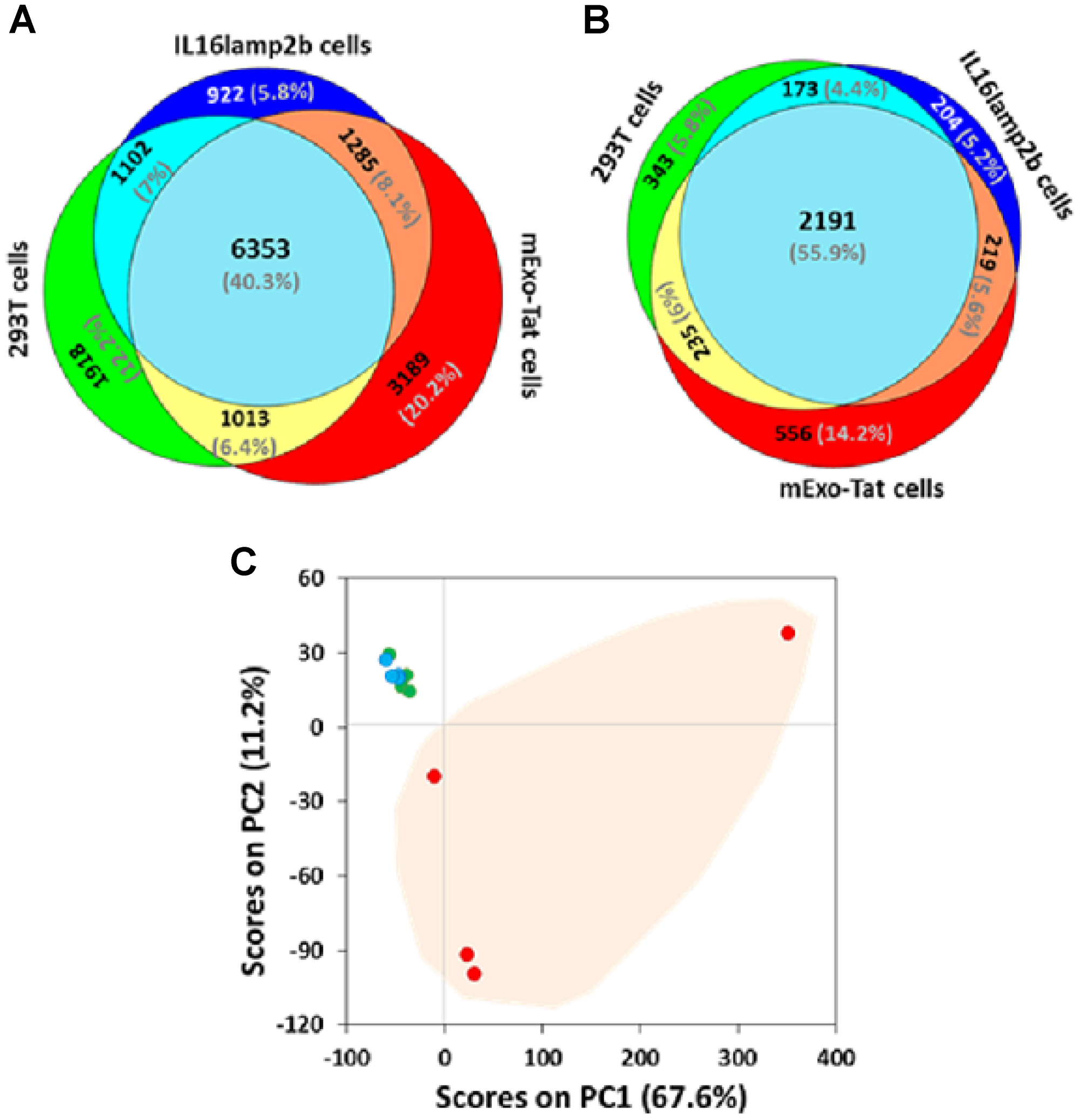 Comparative proteomic profiling of the peptides/proteins identified from 293T, IL16lamp2b and mExo-Tat samples