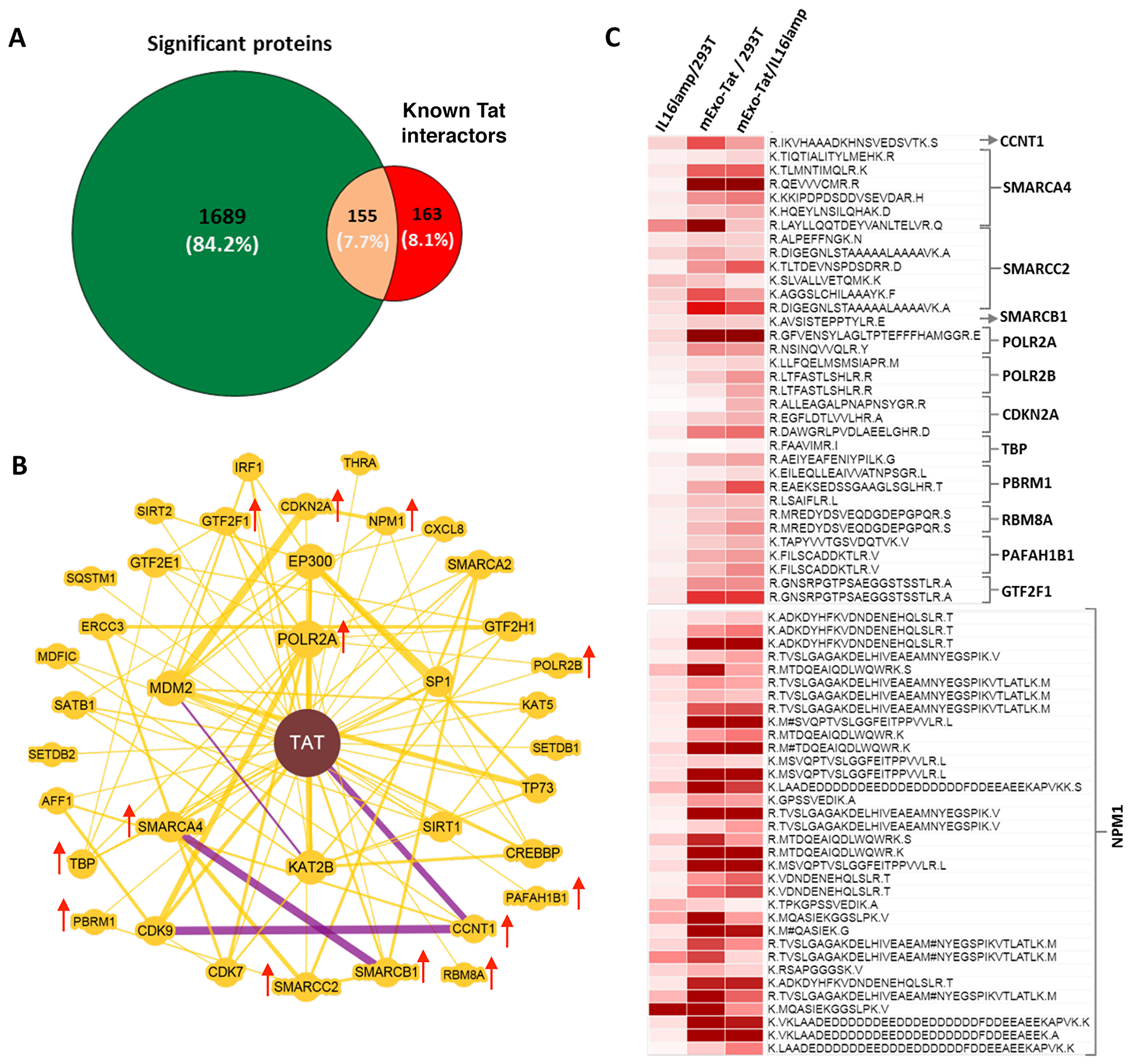 Identification and differential expression of known Tat-interactors