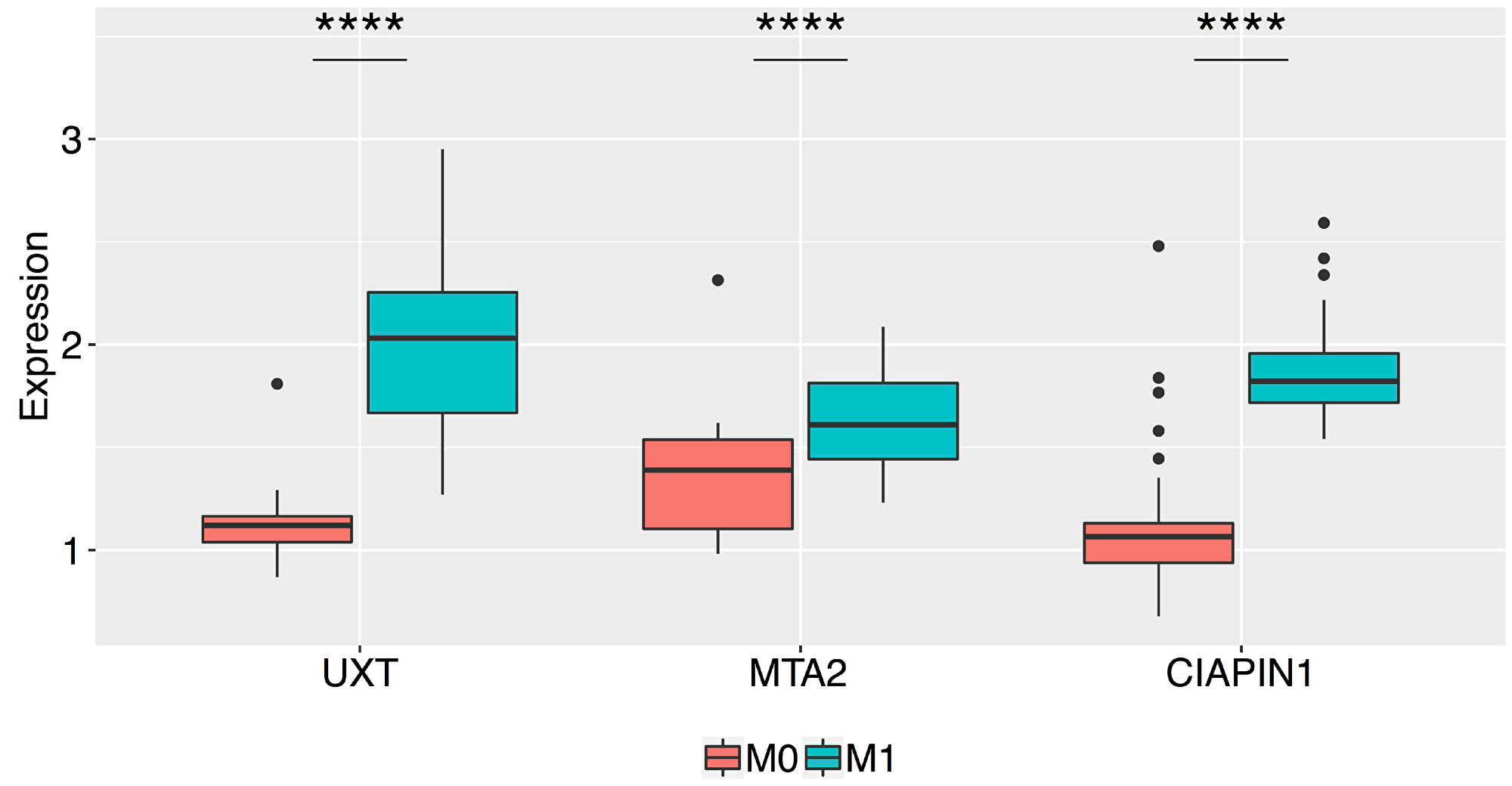 Box plots of the normalized relative expression of the UXT, MTA2, and CIAPIN1 proteins in the gastric tumor tissue of patients without metastasis (M0) and with metastasis (M1) (****P < 0.0001)
