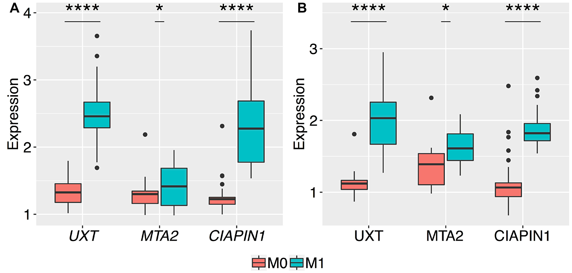 Box plots of the normalized relative expression of UXT, MTA2, and CIAPIN1 genes in the gastric tumor tissues of patients without metastasis (M0) and with metastasis (M1)