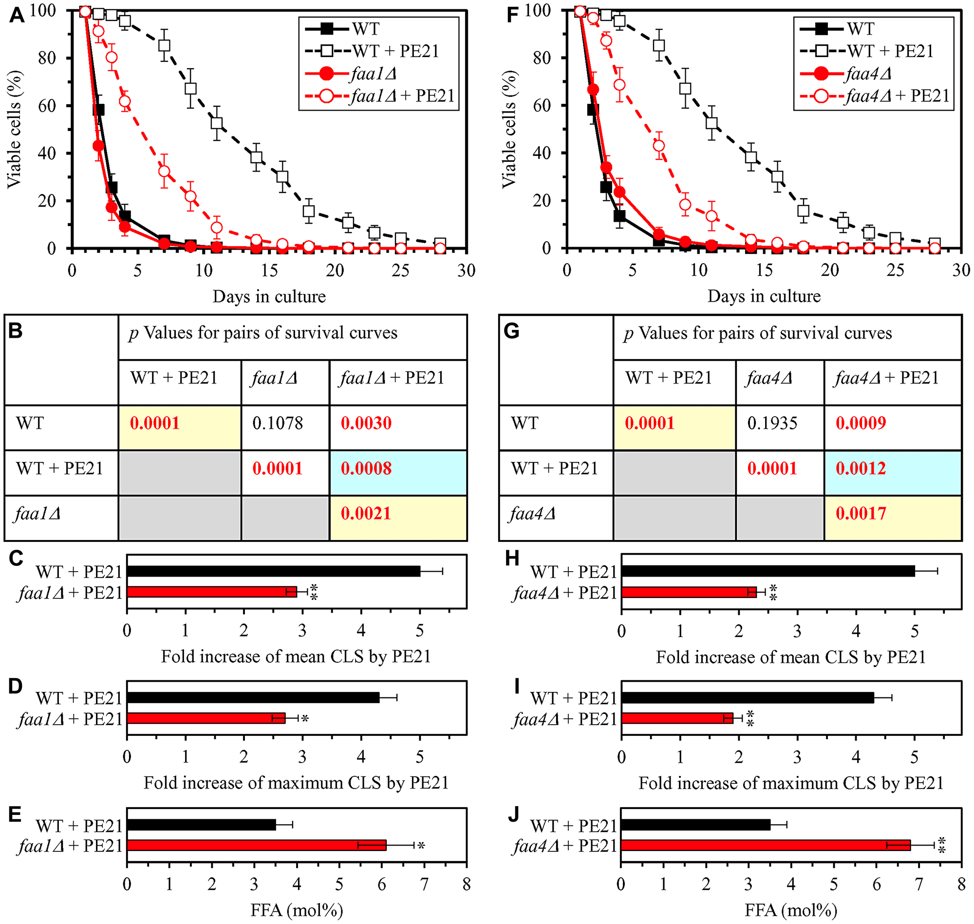 The faa1Δ and faa4Δ mutations eliminate enzymes involved in the incorporation of FFA into PA