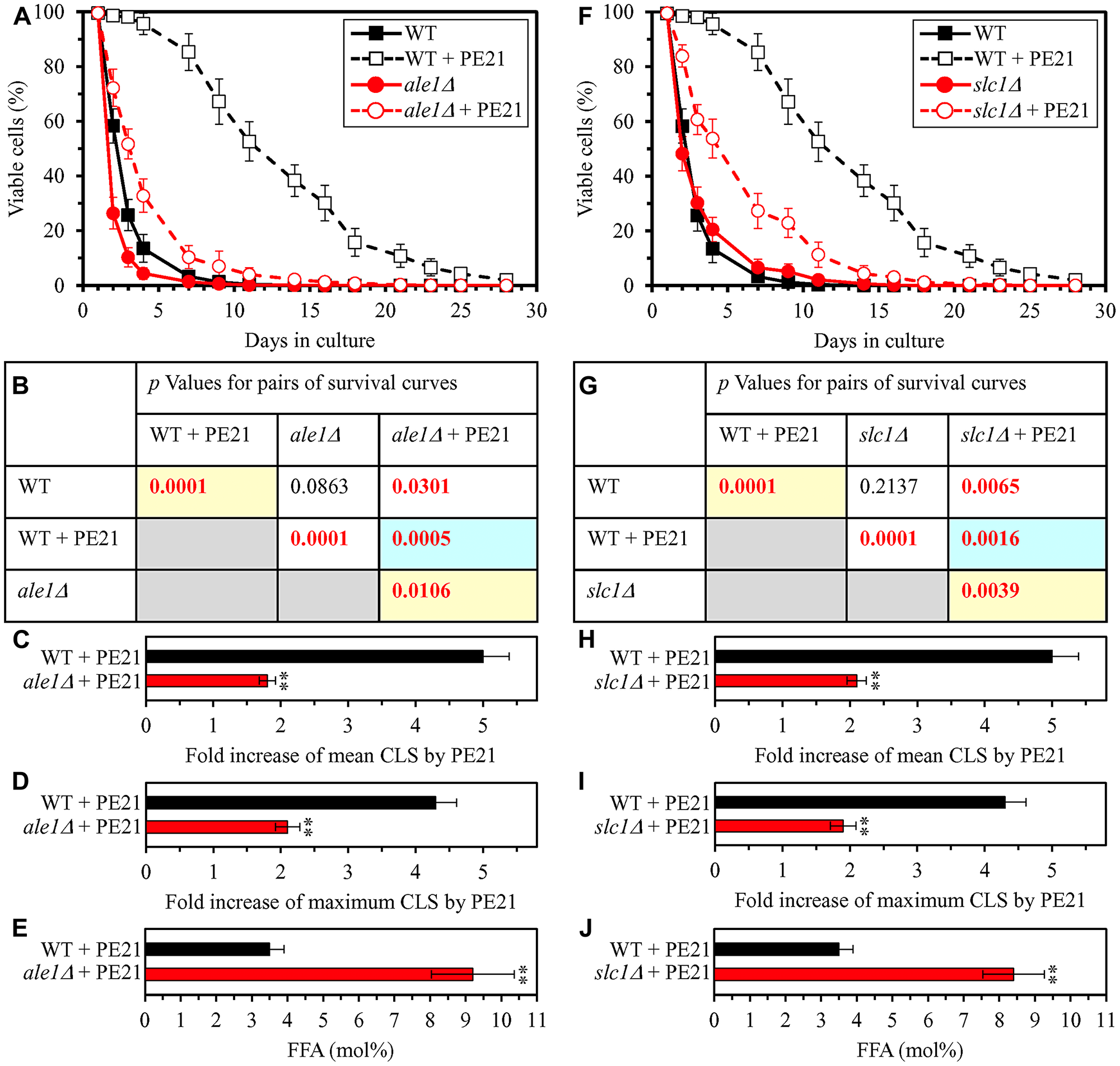 The ale1Δ and slc1Δ mutations eliminate enzymes involved in the incorporation of FFA into PA