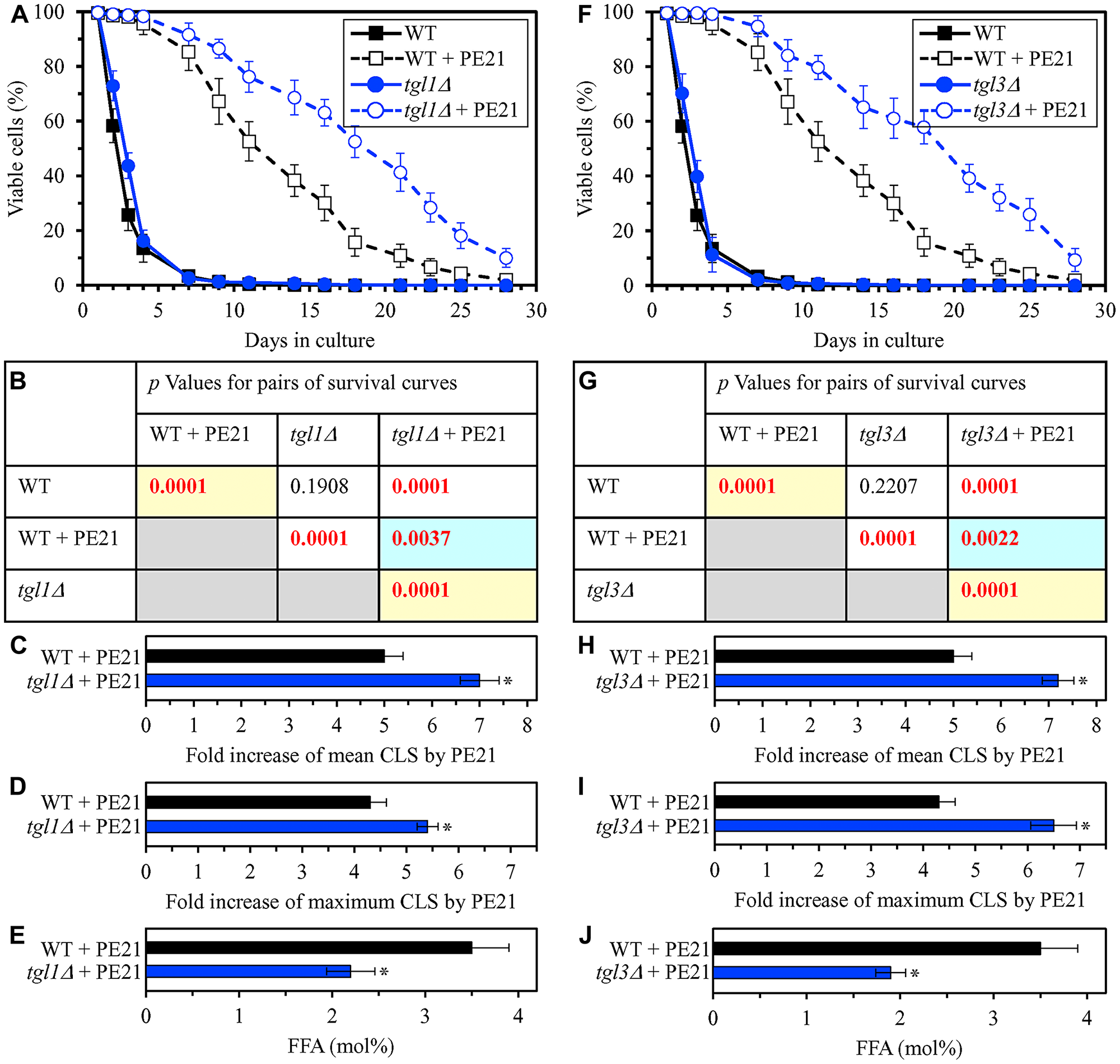 The tgl1Δ and tgl3Δ mutations eliminate enzymes involved in the formation of FFA as products of TAG lipolysis