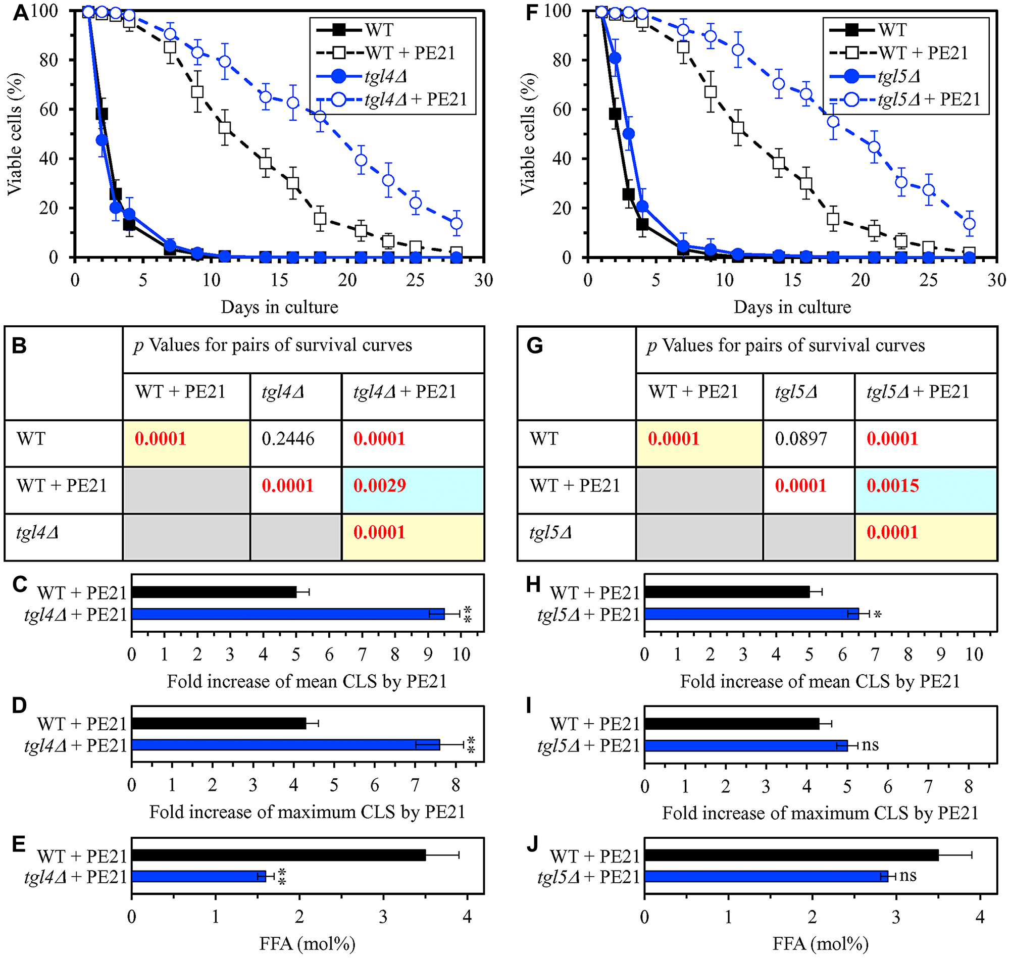 The tgl4Δ and tgl5Δ mutations eliminate enzymes that catalyze the formation of FFA as products of TAG lipolysis