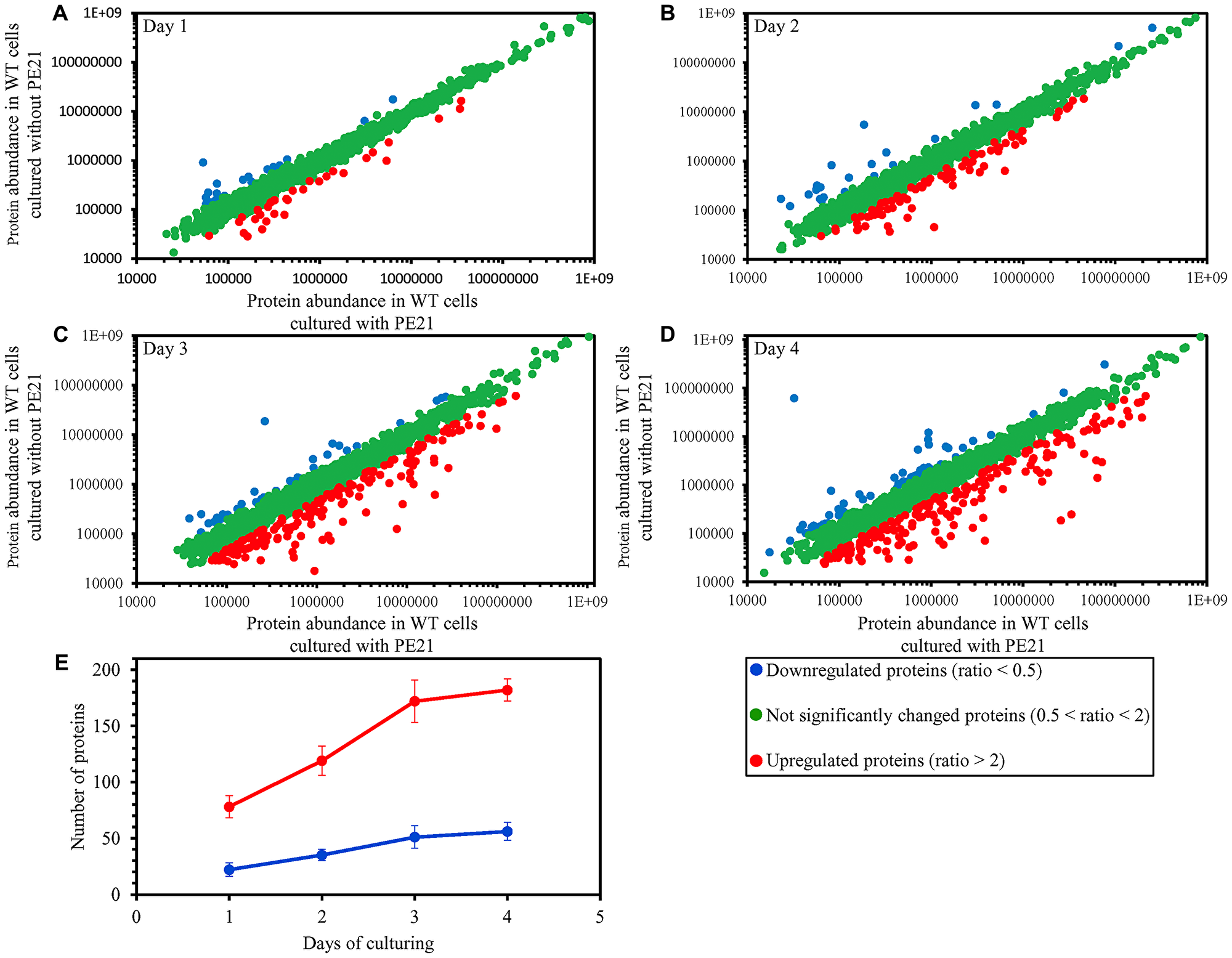 PE21 causes changes in the relative concentrations of many cellular proteins in an age-related manner