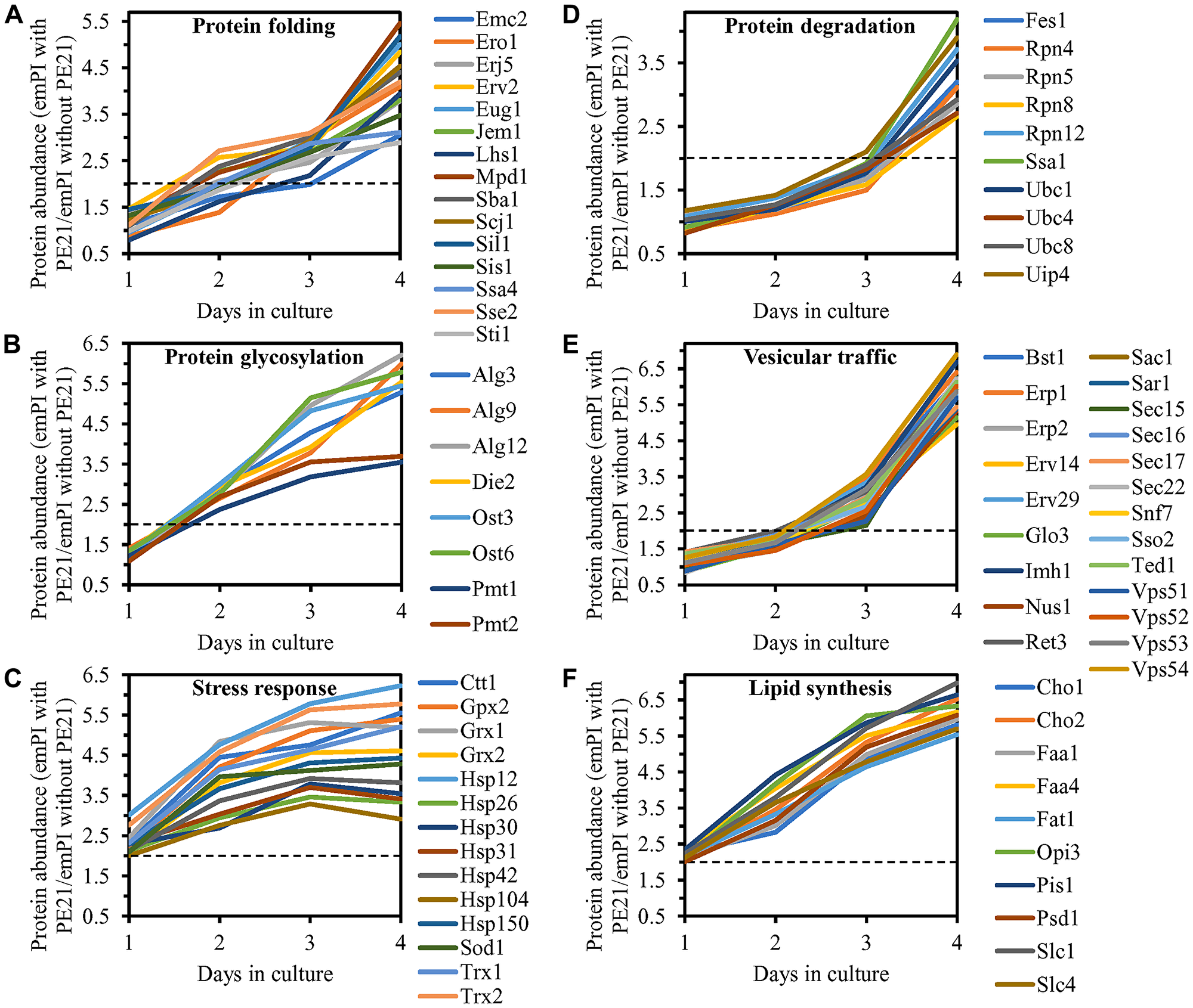 PE21 increases the abundance of six classes of cellular proteins known to be upregulated during the UPRER response in yeast