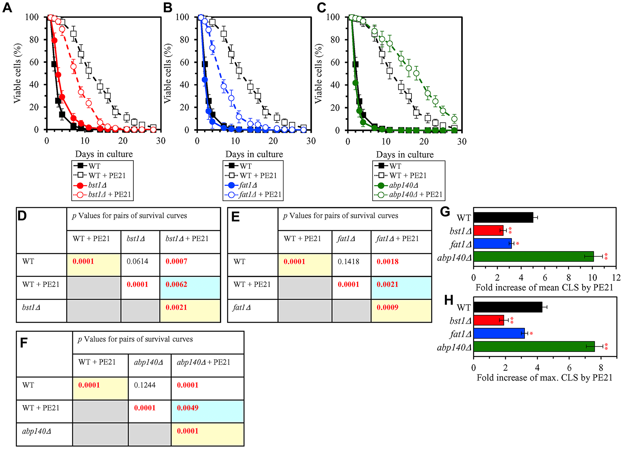 Single-gene-deletion mutations eliminating proteins that are upregulated by both PE21 and UPRER stimuli decrease the efficiency with which PE21 extends yeast longevity, while a single-gene-deletion mutation eliminating a protein that is downregulated by both PE21 and UPRER stimuli increases such efficiency
