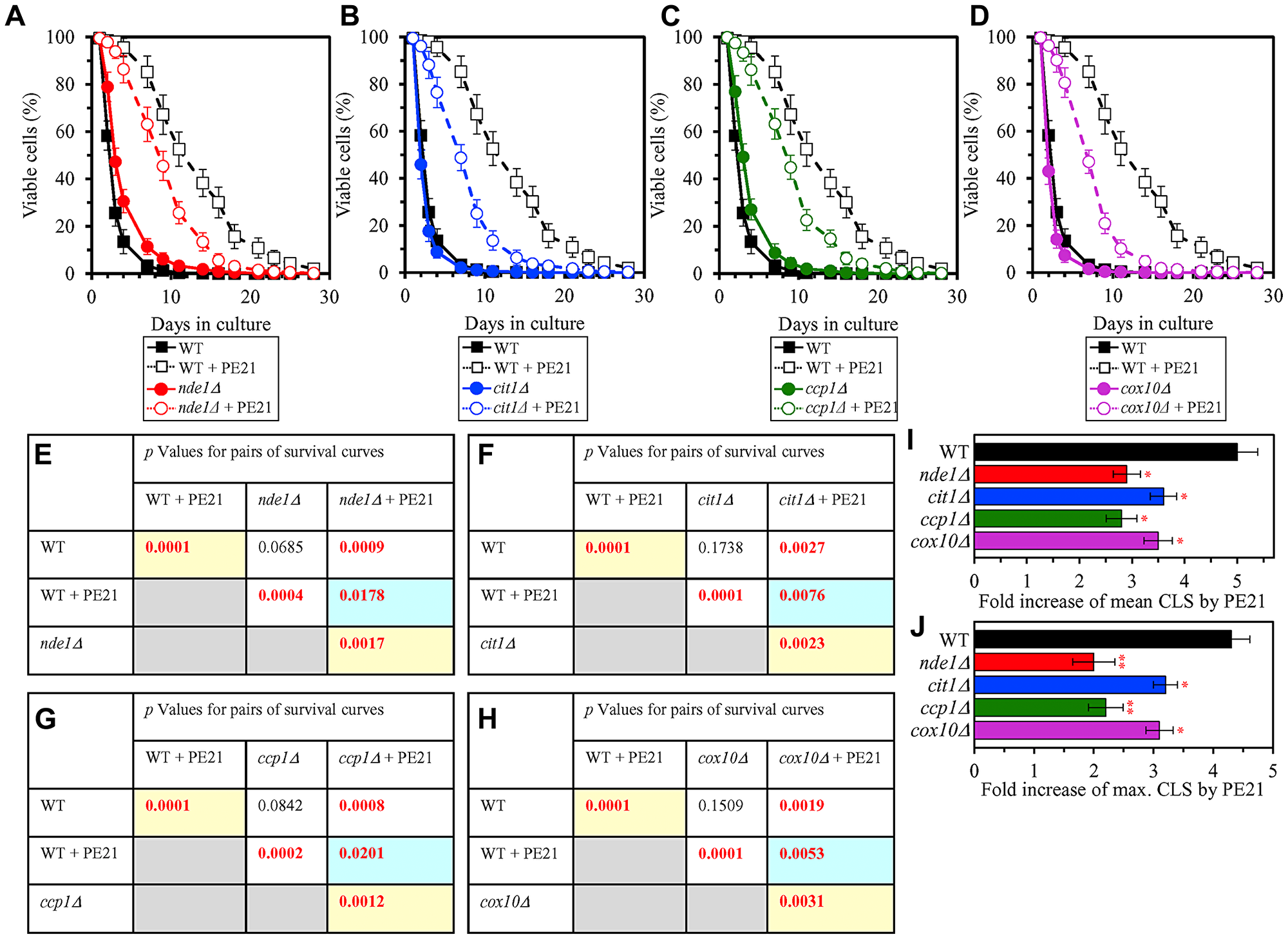 Single-gene-deletion mutations eliminating mitochondrial proteins that are upregulated by PE21 reduce the geroprotective potential of PE21