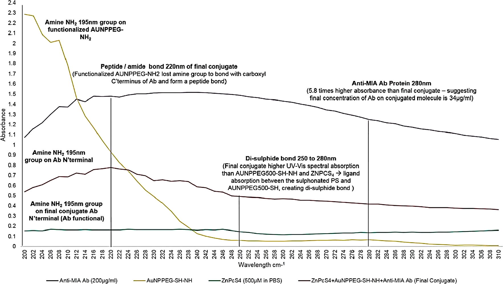 UV-Visible protein direct absorption spectra of the PS drug conjugate and various controls within the 200 to 310 nm spectral region